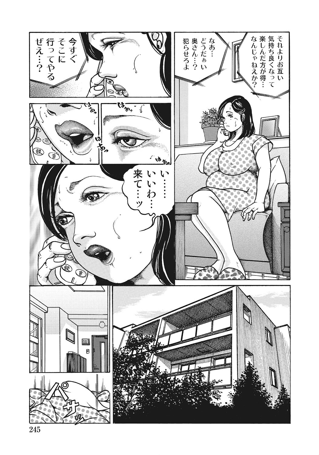 Page 244