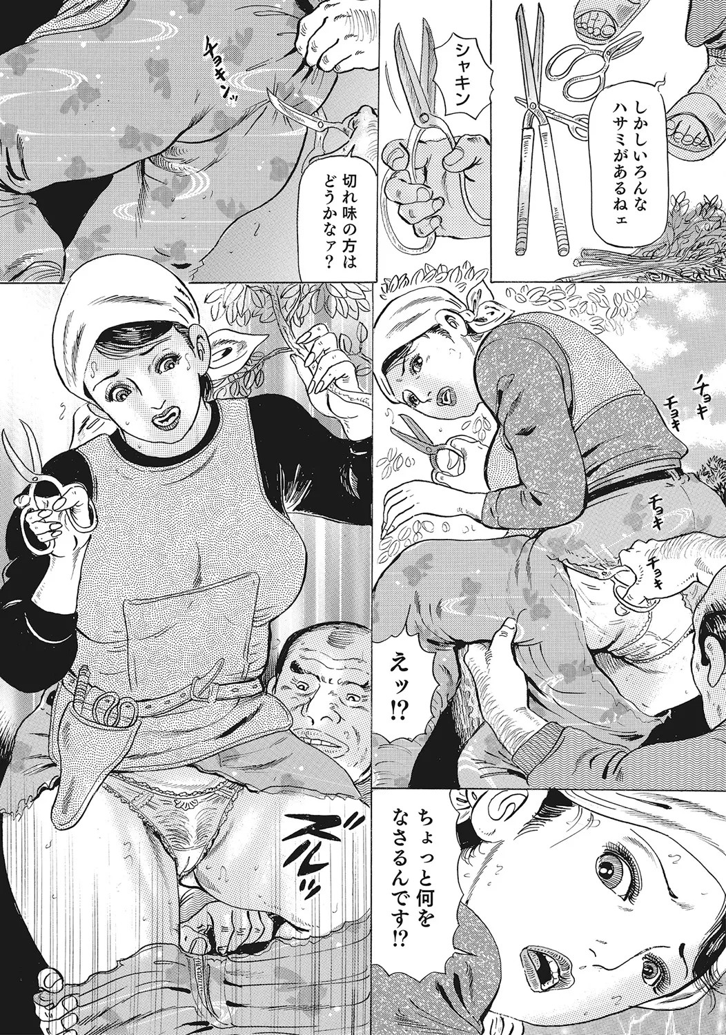 Page 311