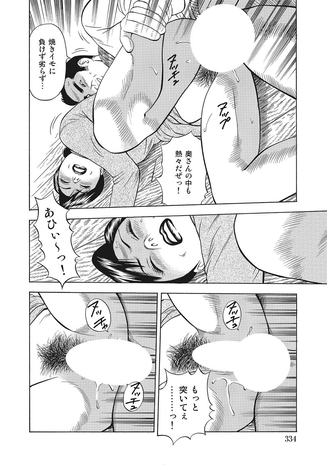 Page 333