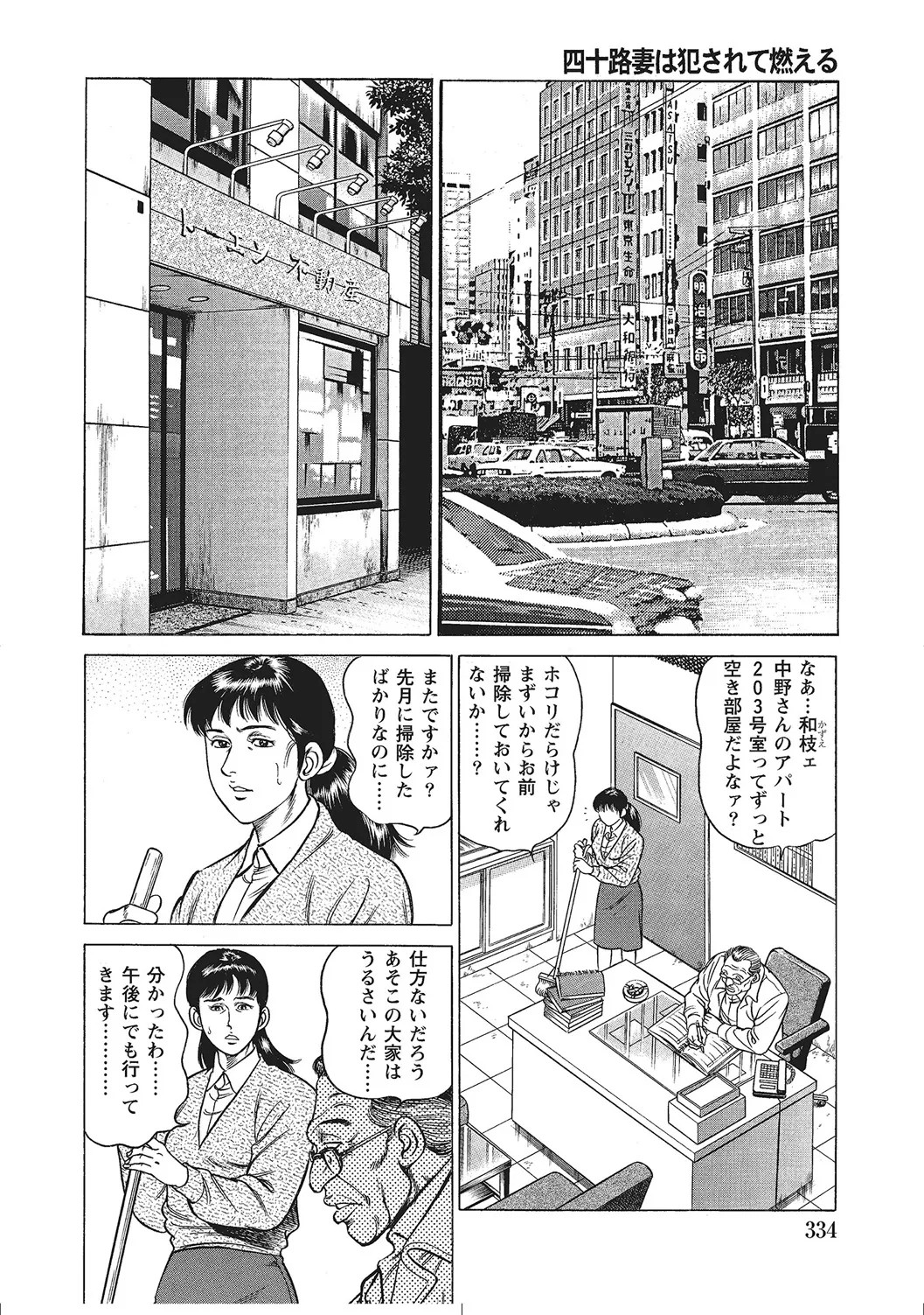 Page 333