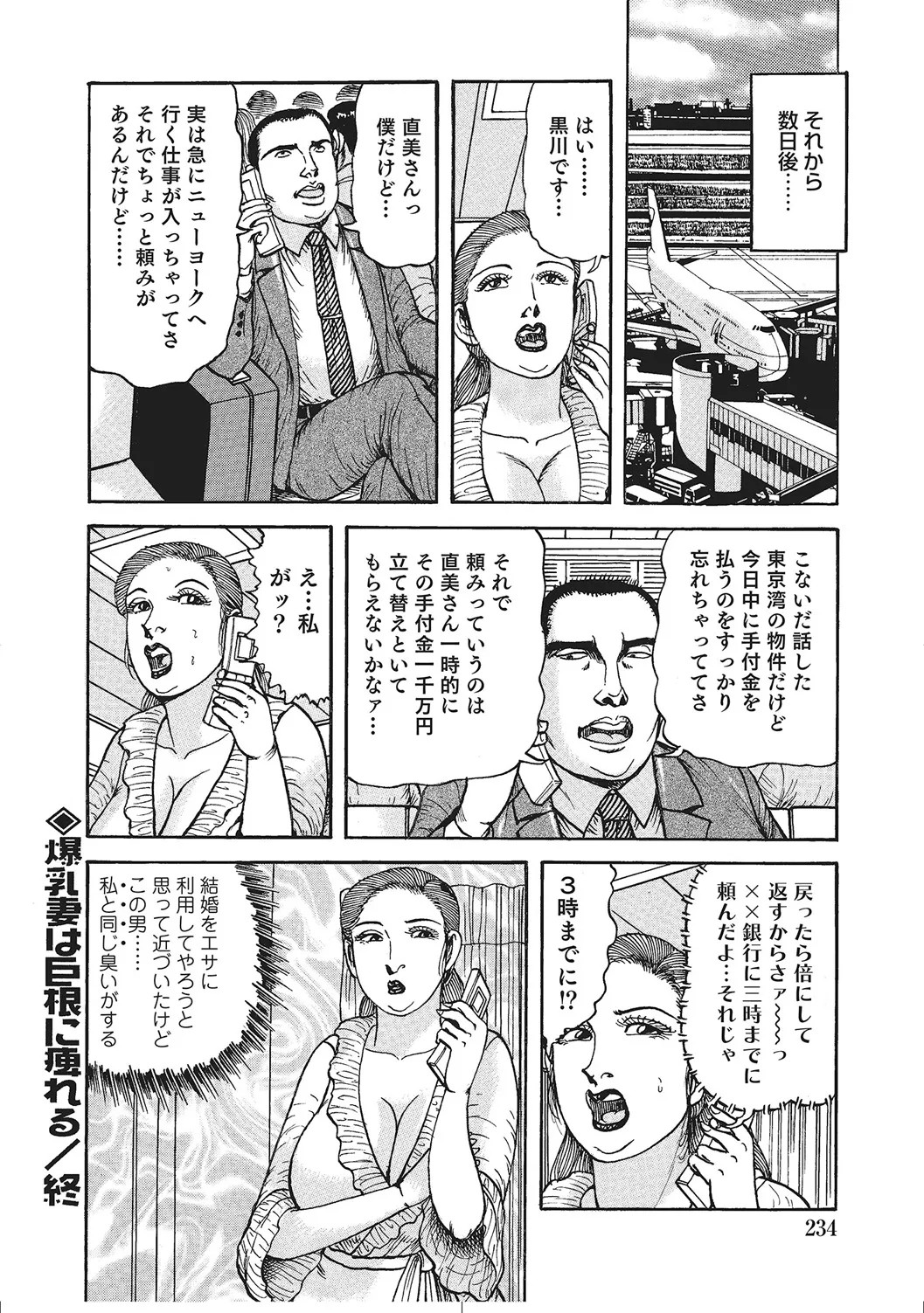 Page 233