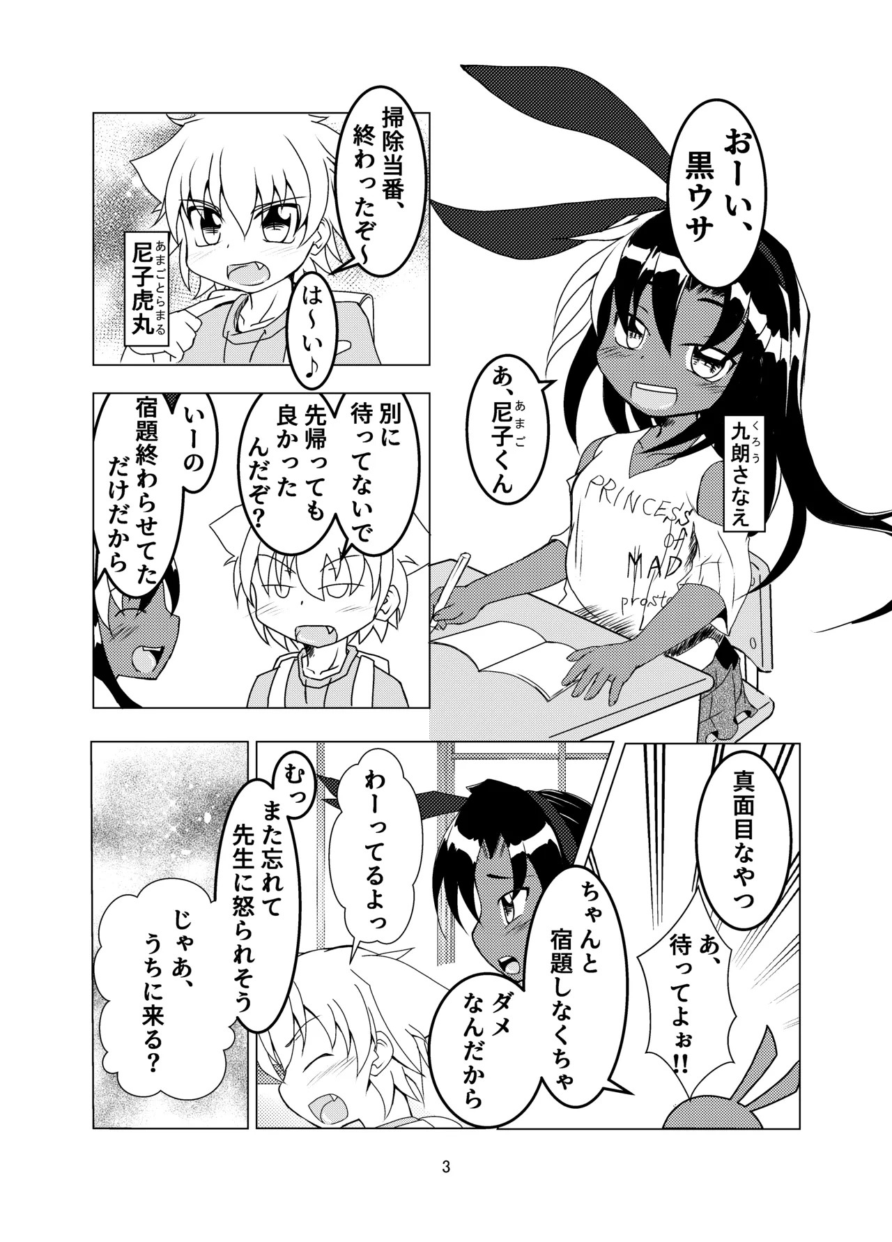Page 3