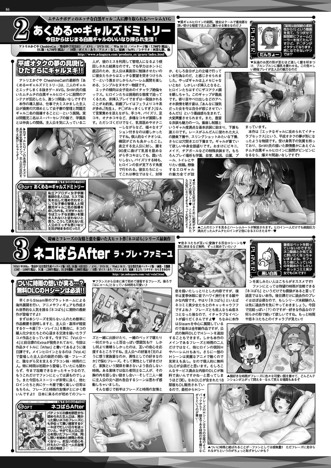 Page 84