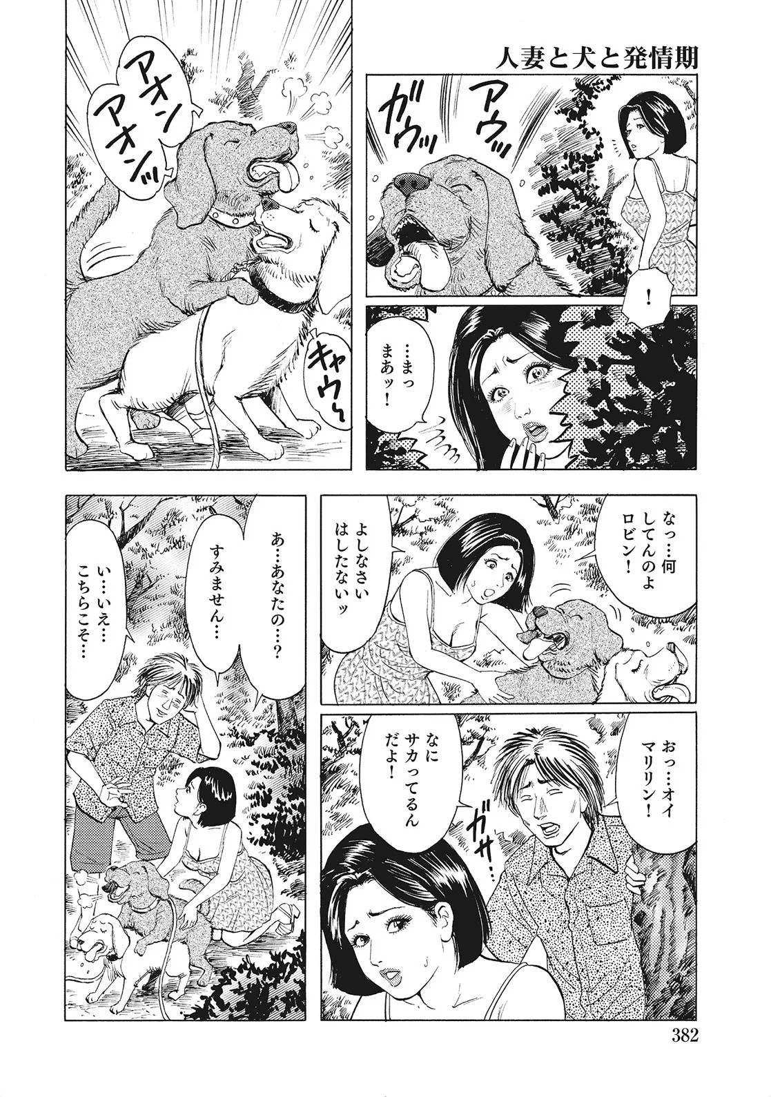 Page 381