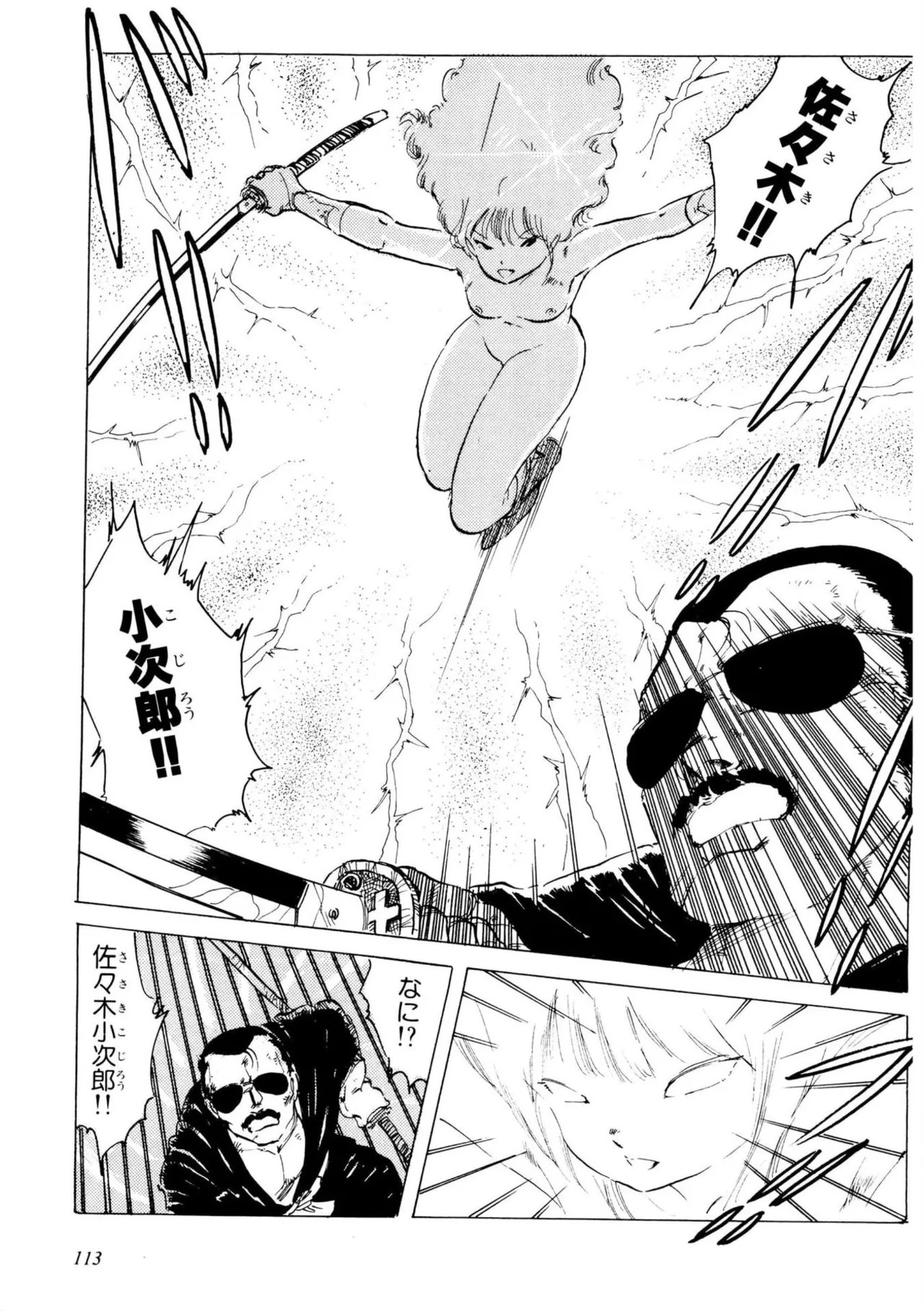 Page 113
