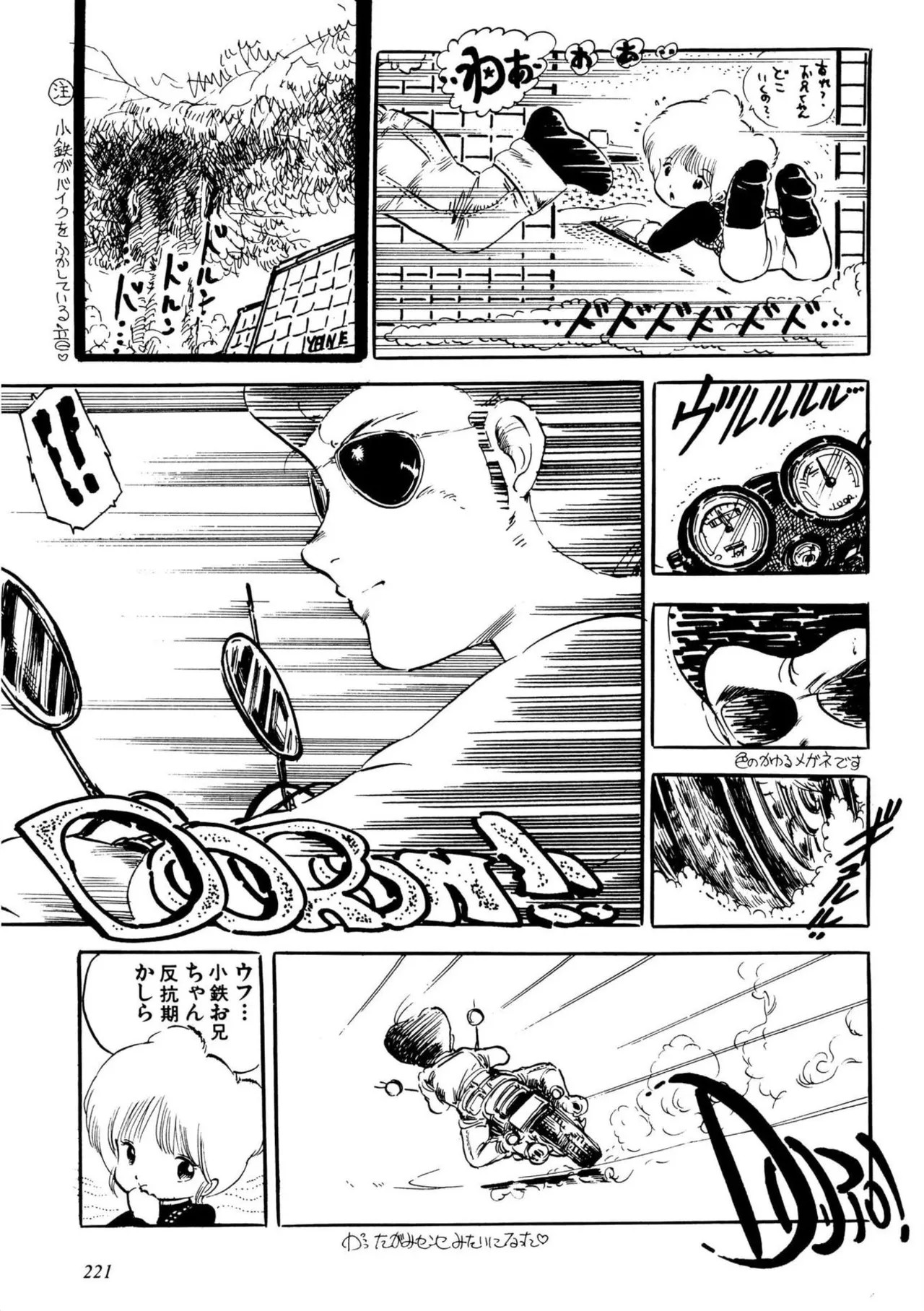 Page 221