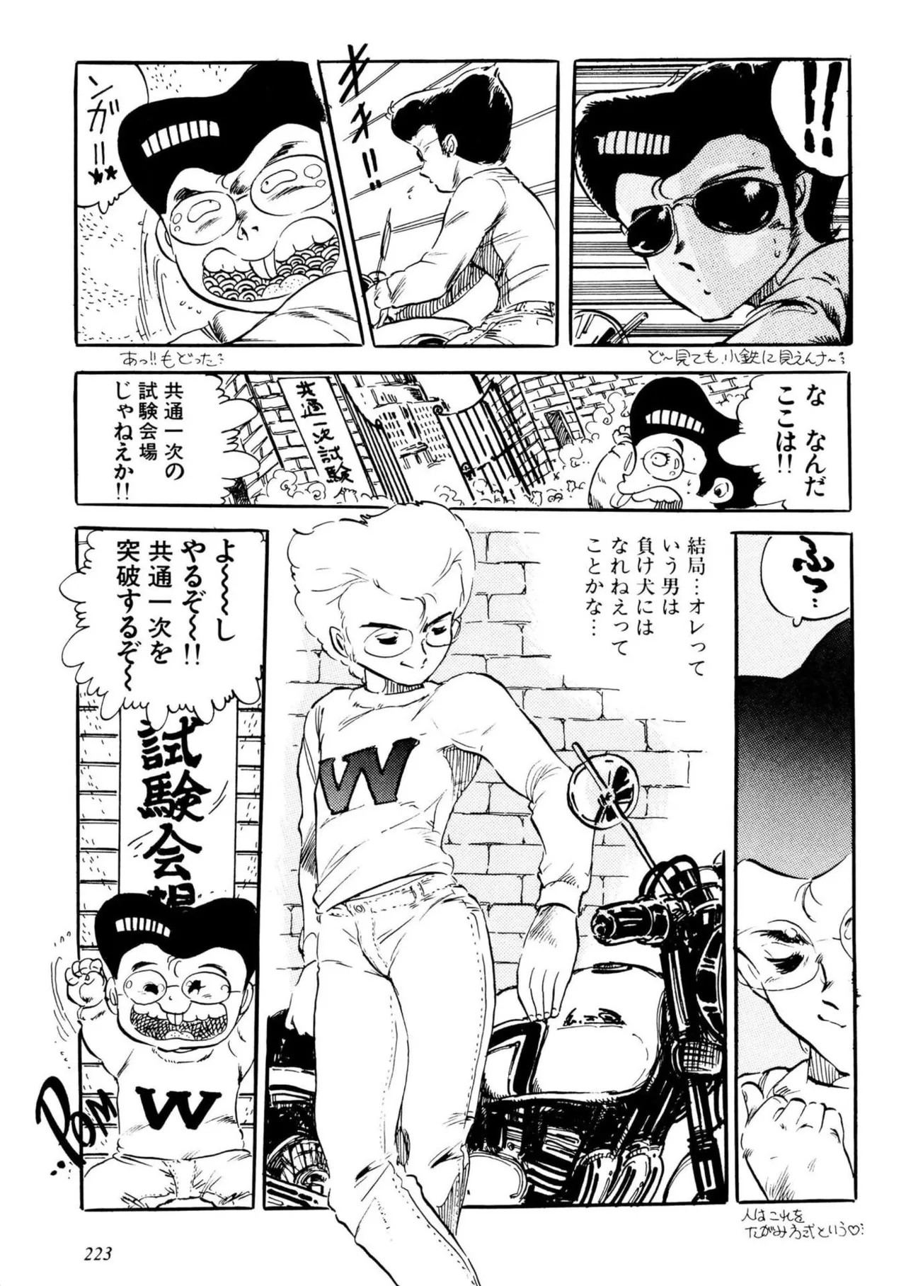 Page 223