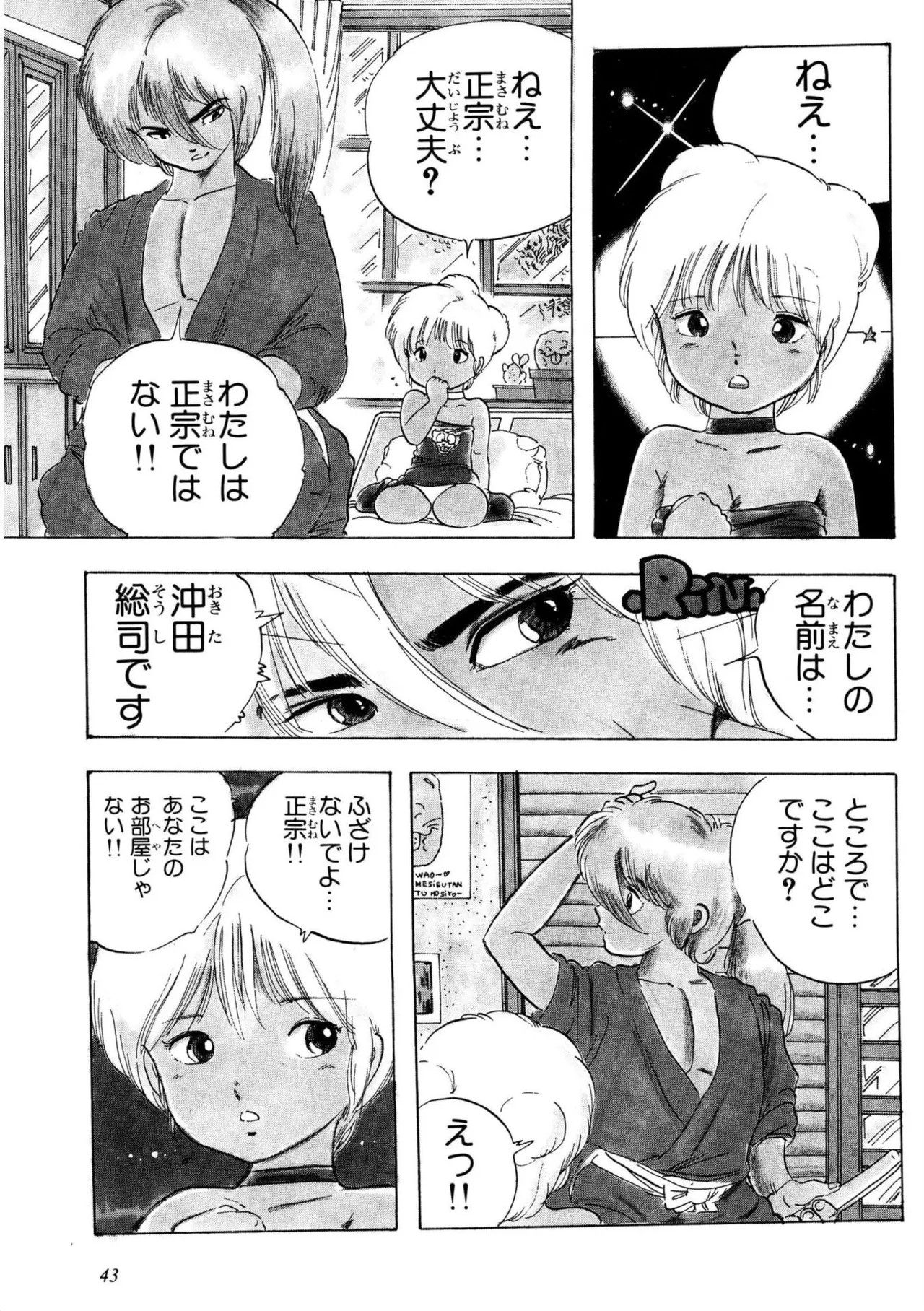 Page 43