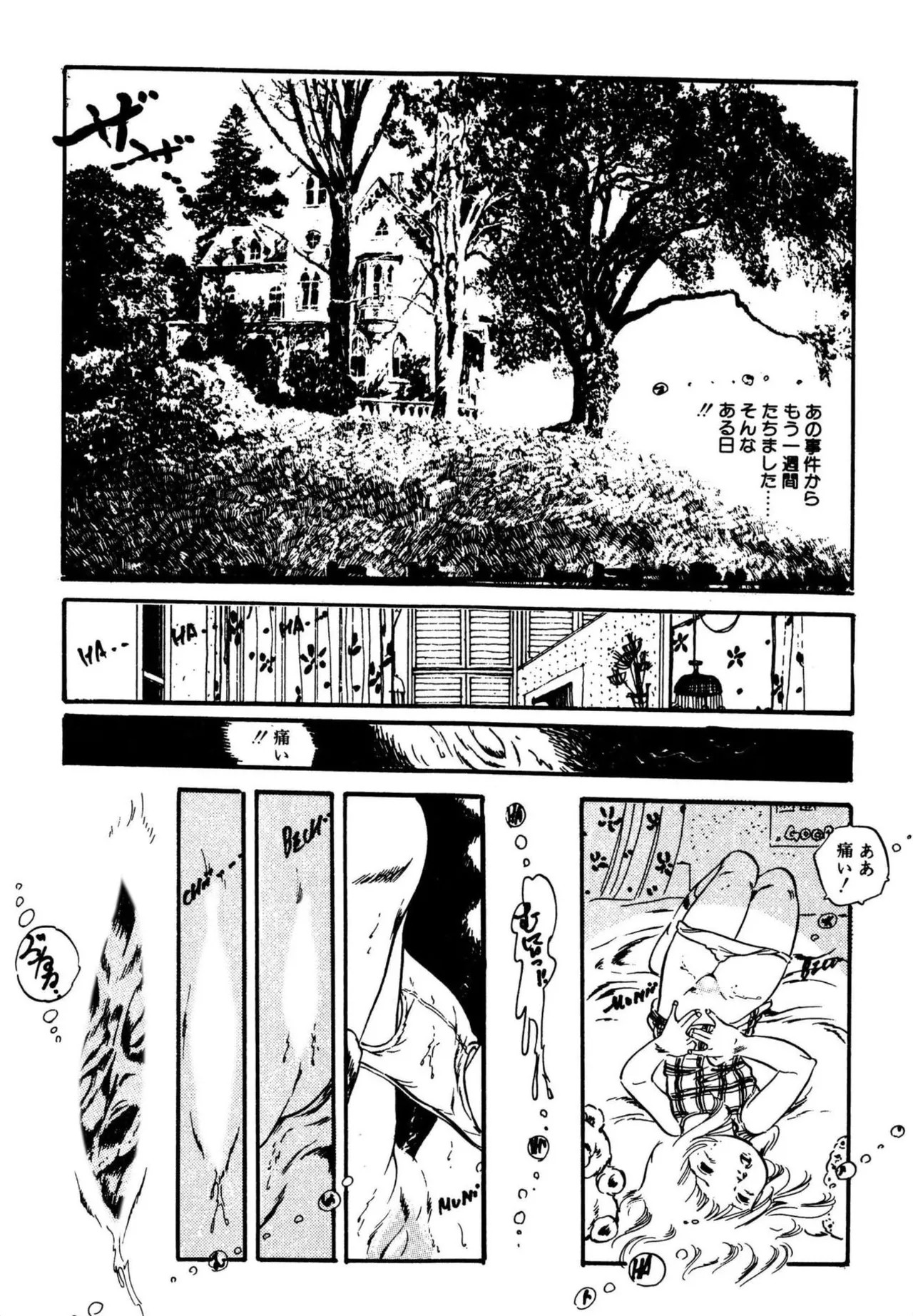 Page 255