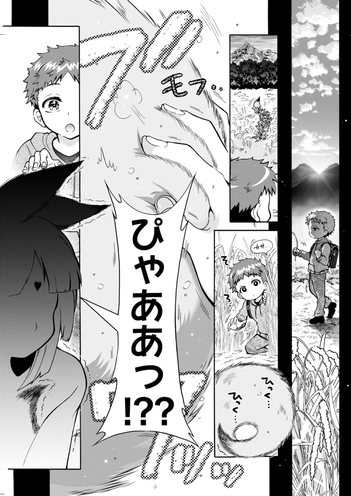 Page 257