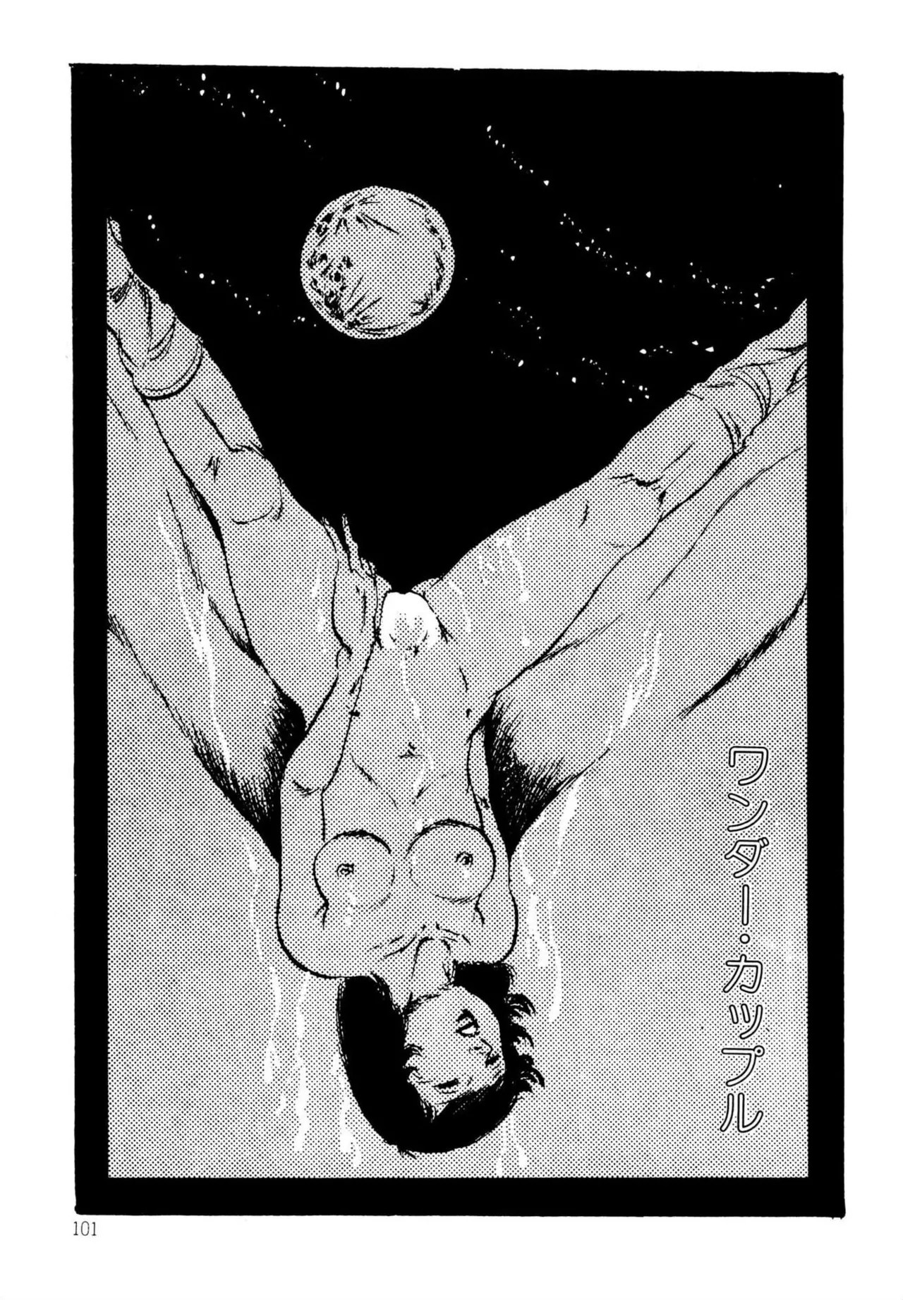 Page 101