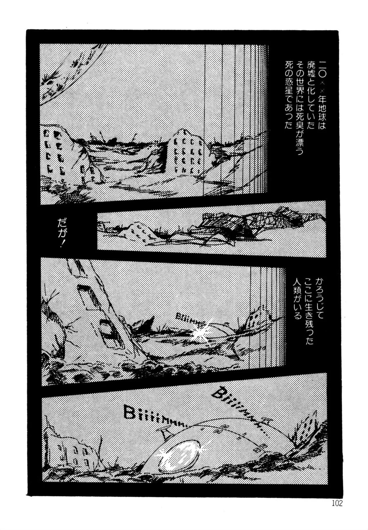 Page 102