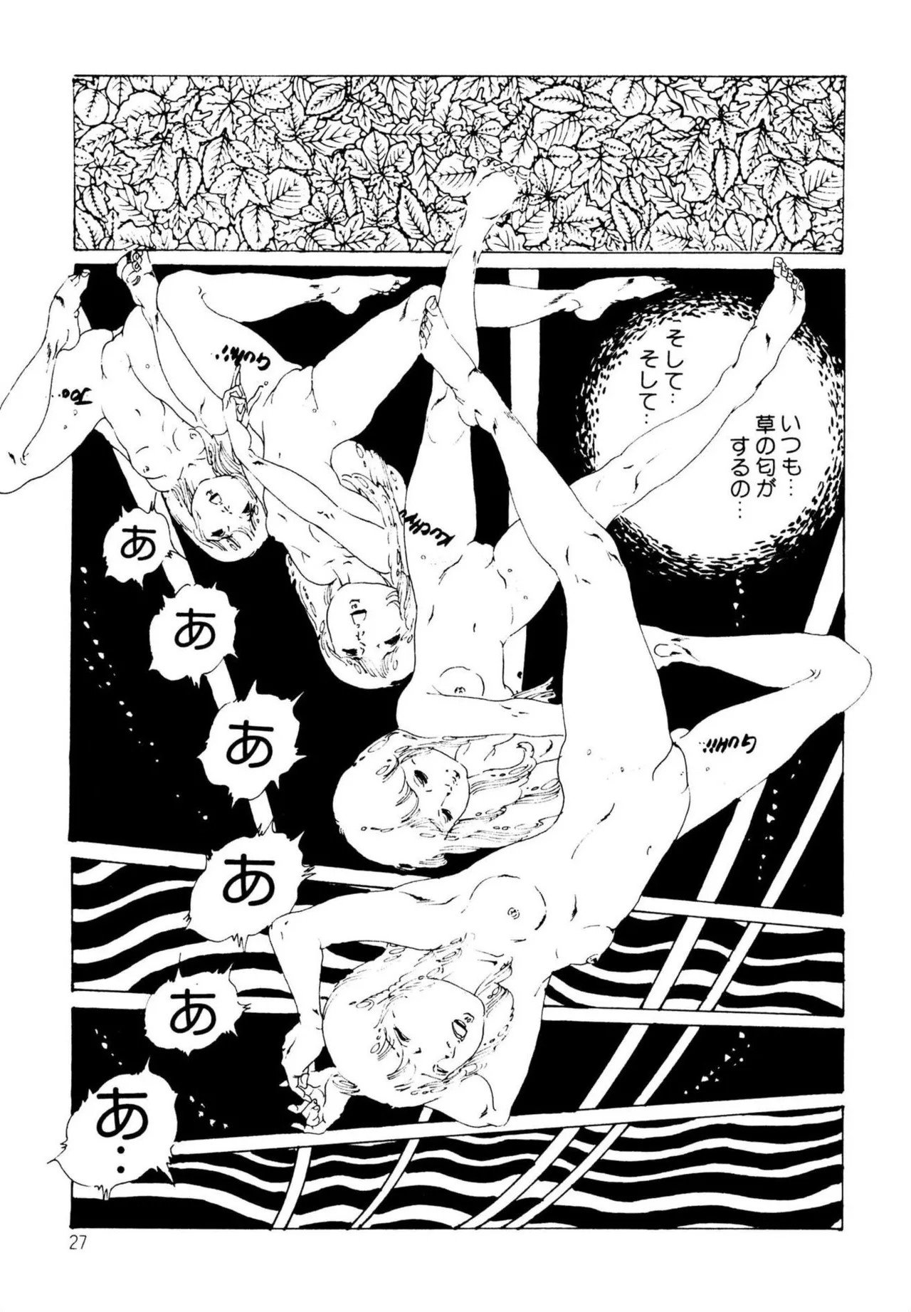 Page 27