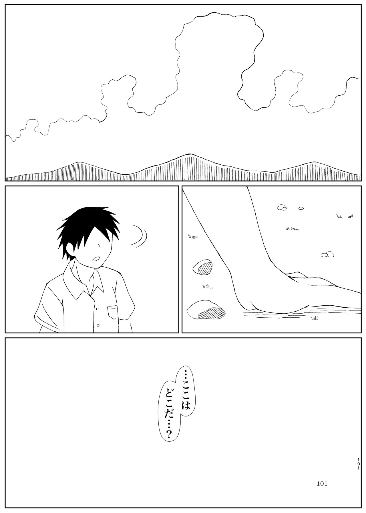 Page 101
