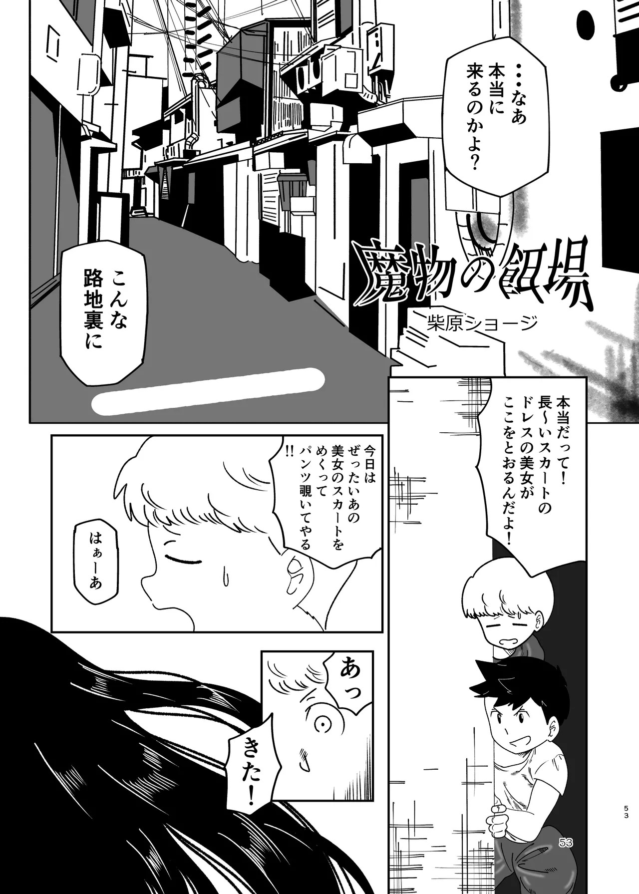 Page 53