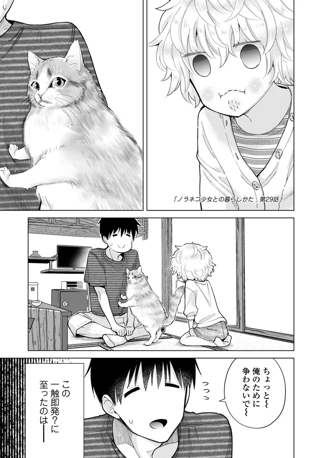 Page 97