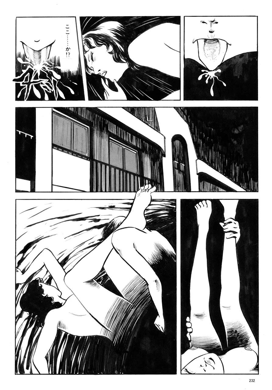 Page 233