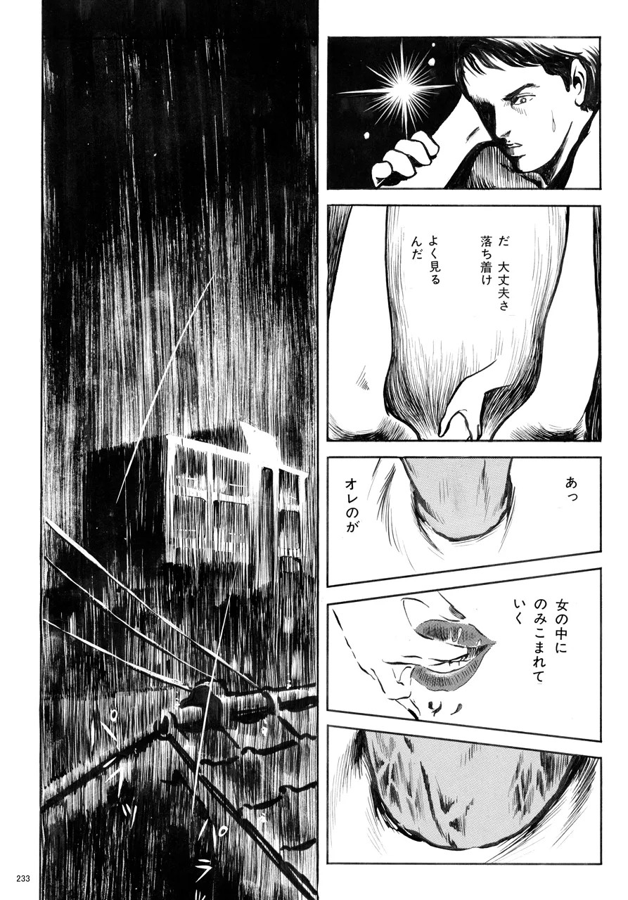 Page 234