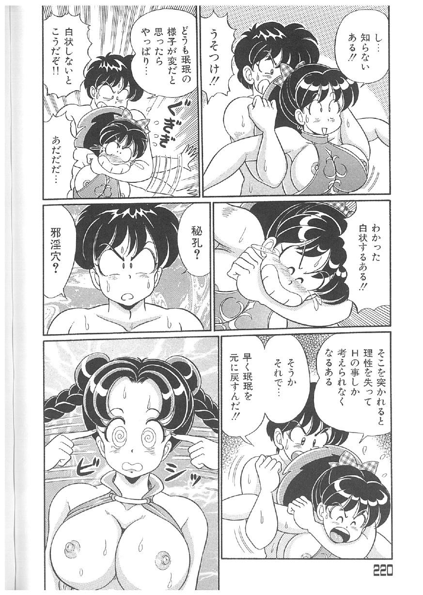 Page 219