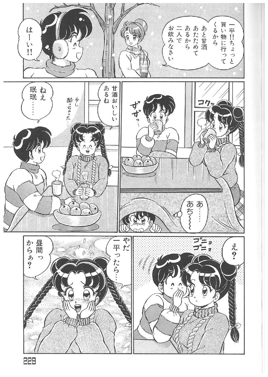 Page 228