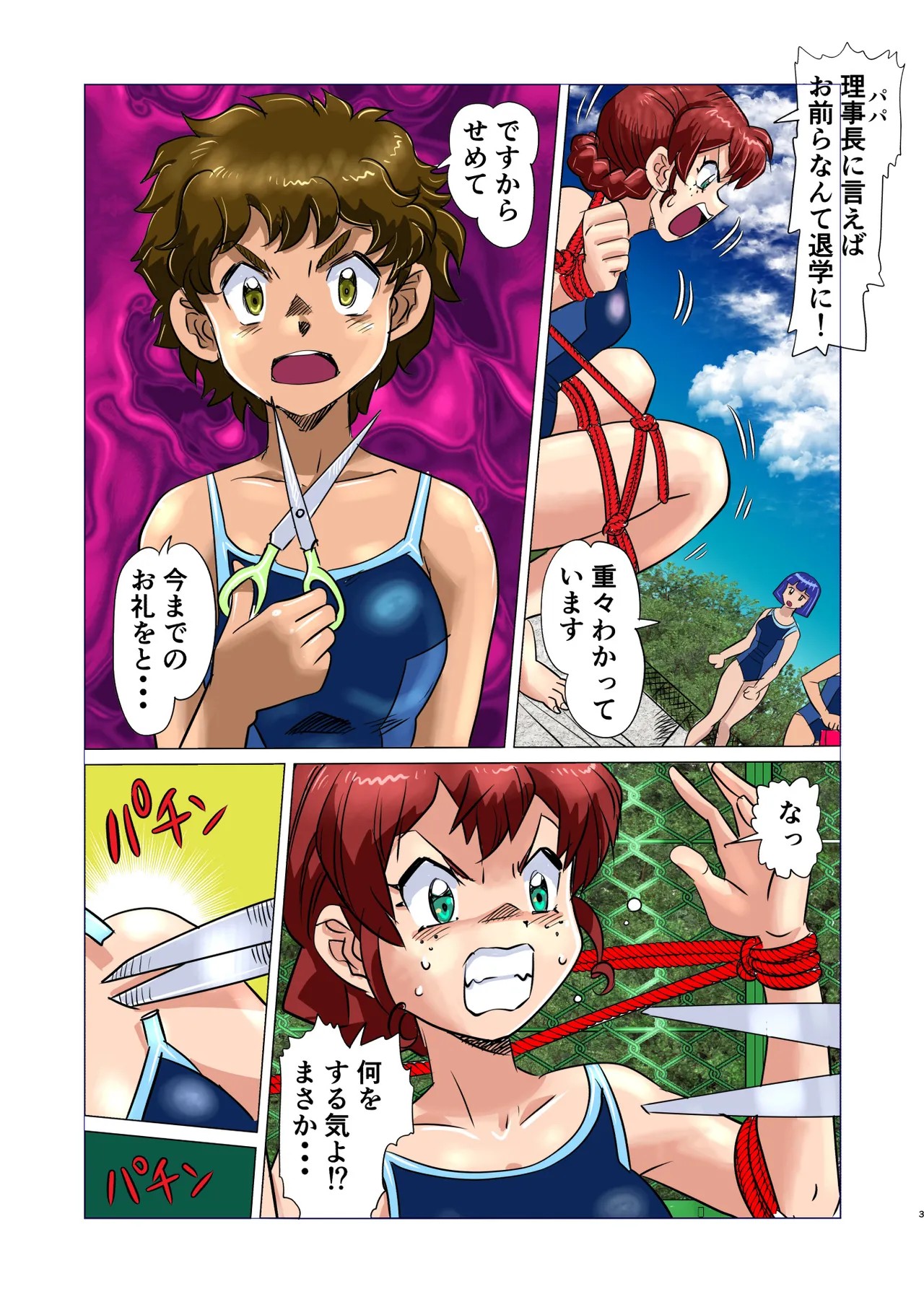 Page 3