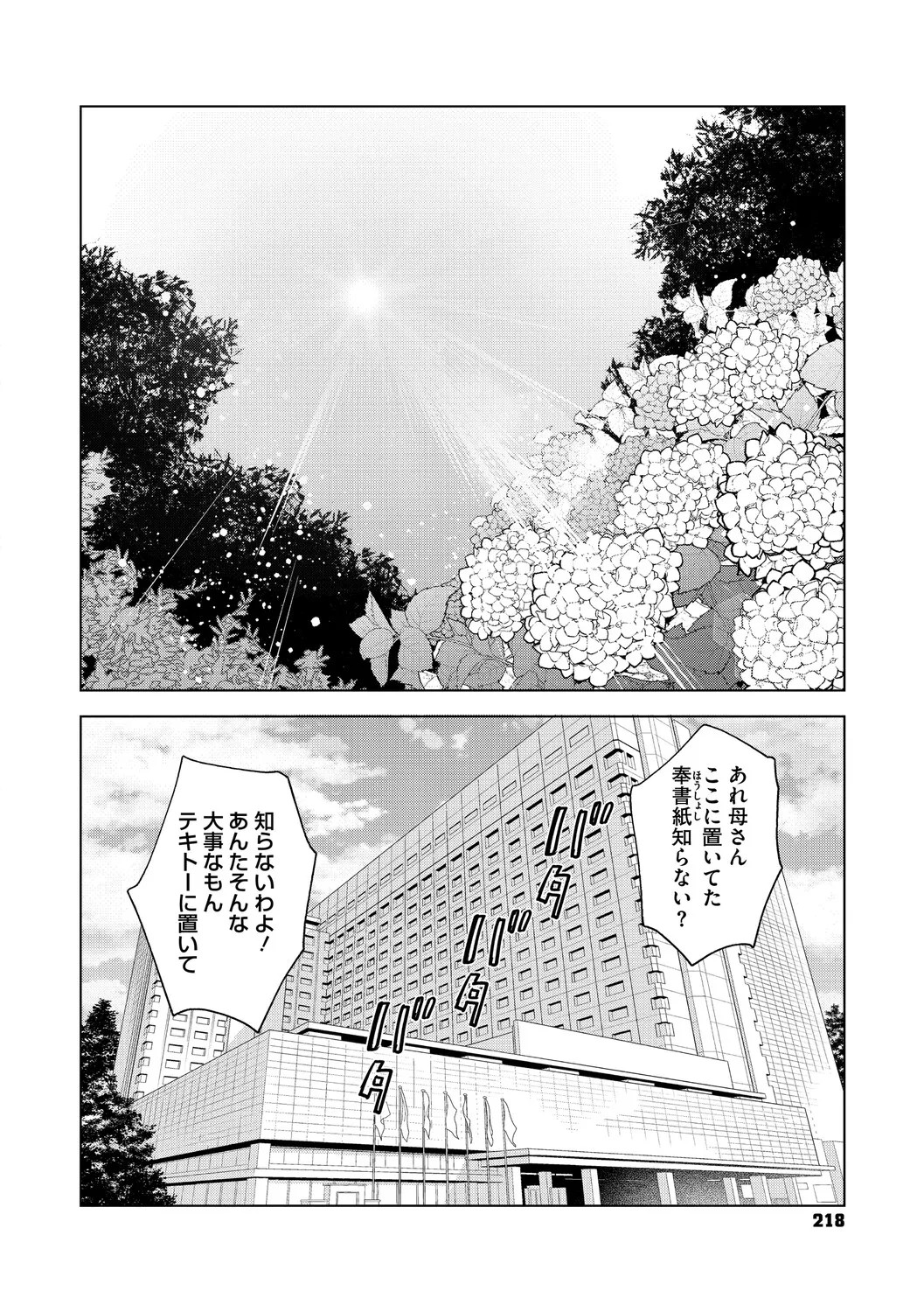 Page 217