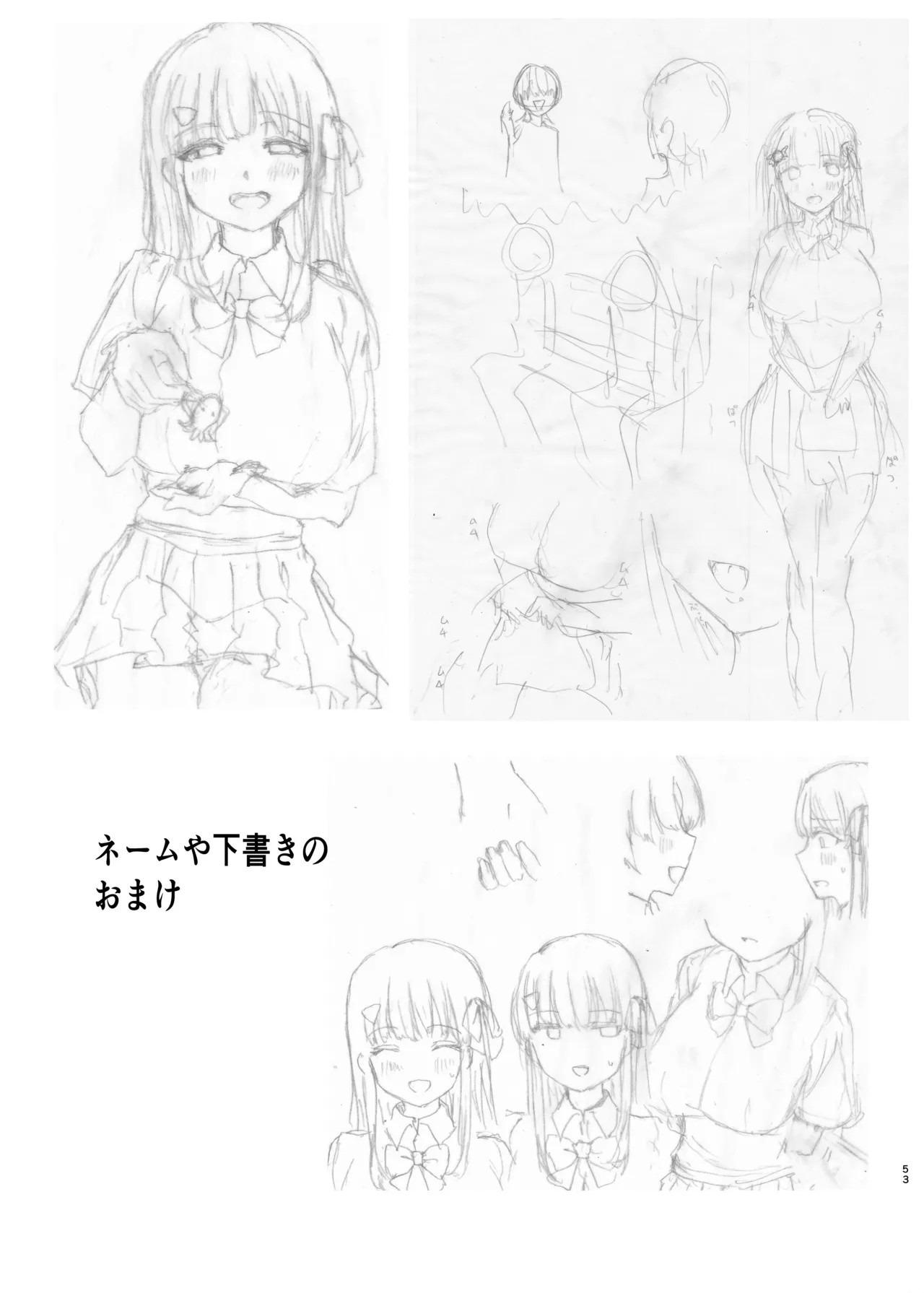 Page 53