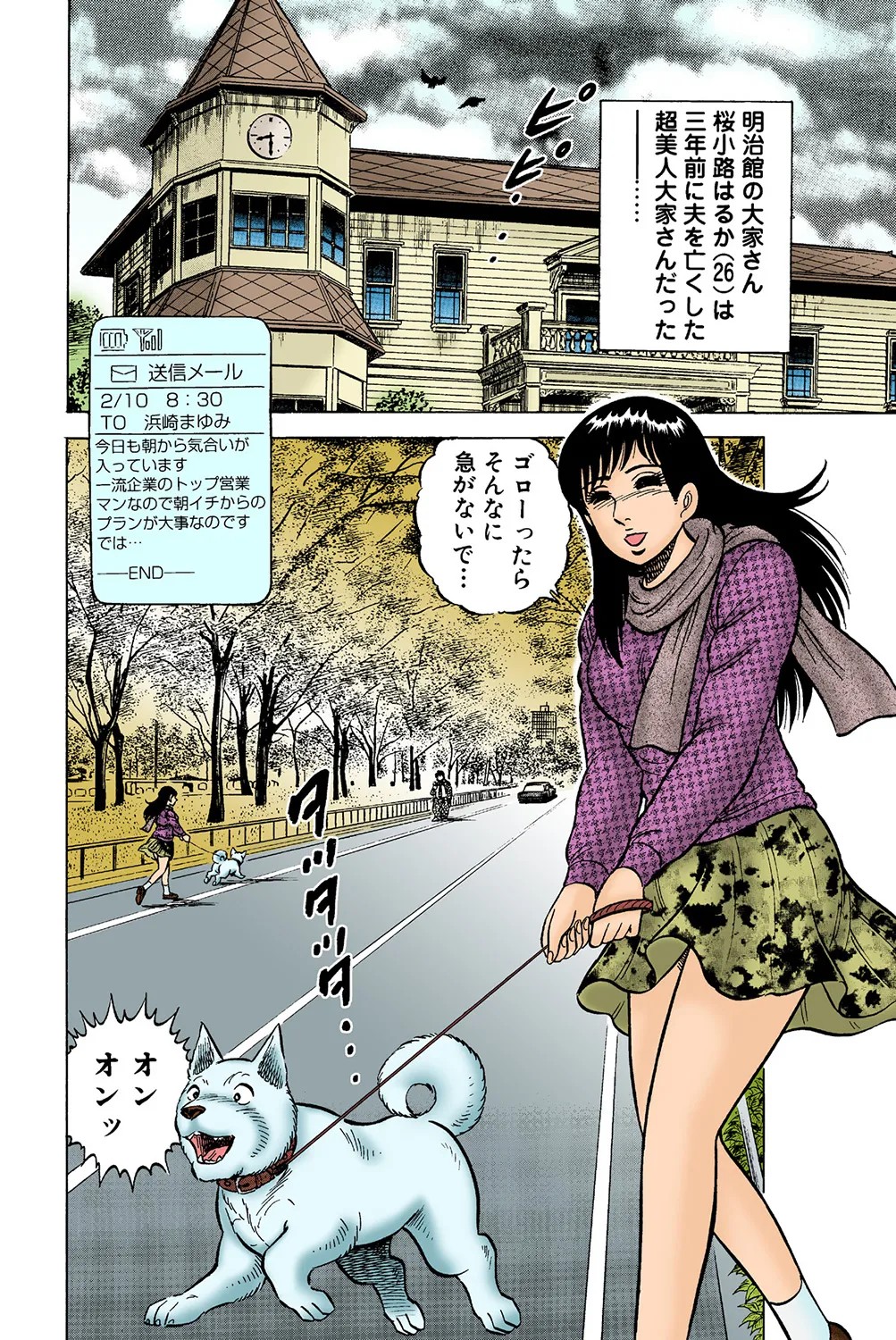 Page 51