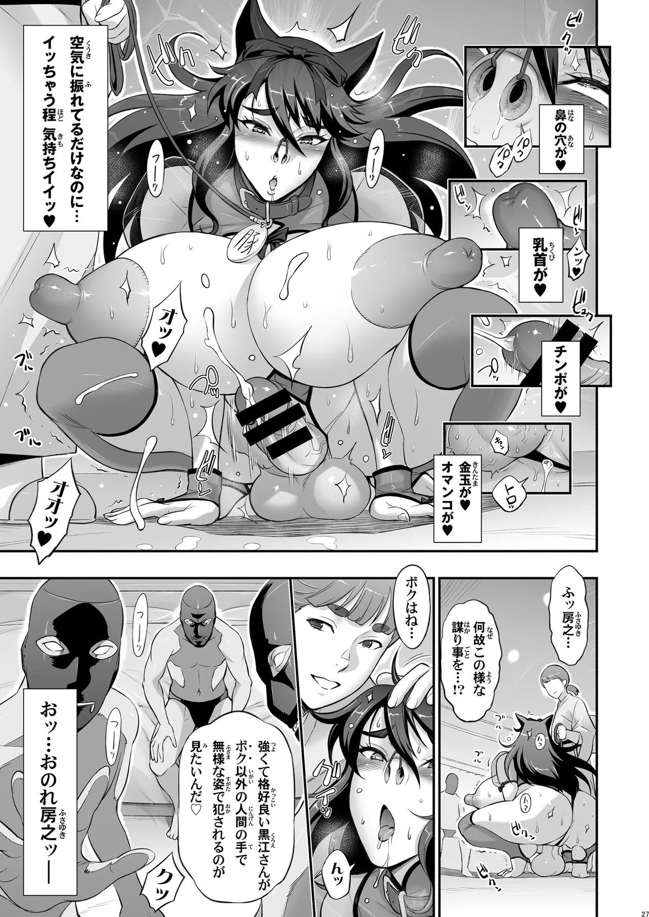 Page 27