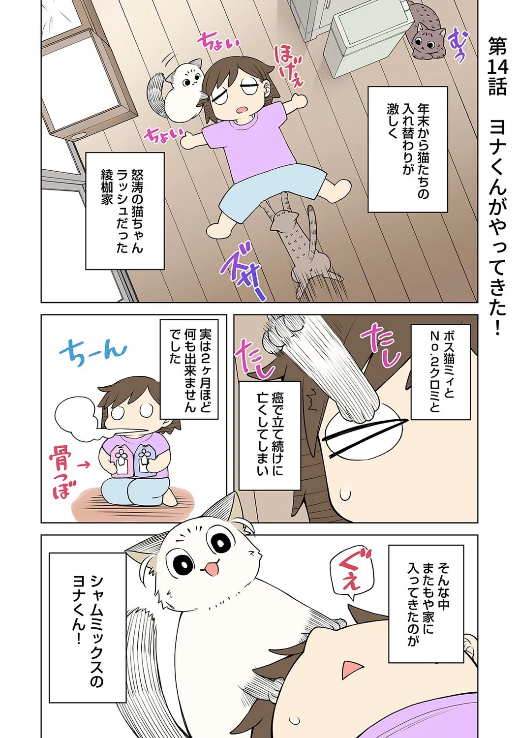 Page 223