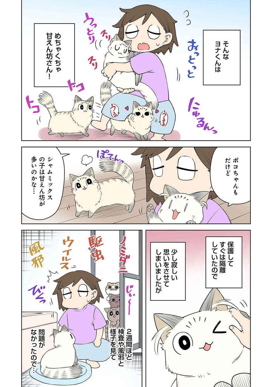 Page 225