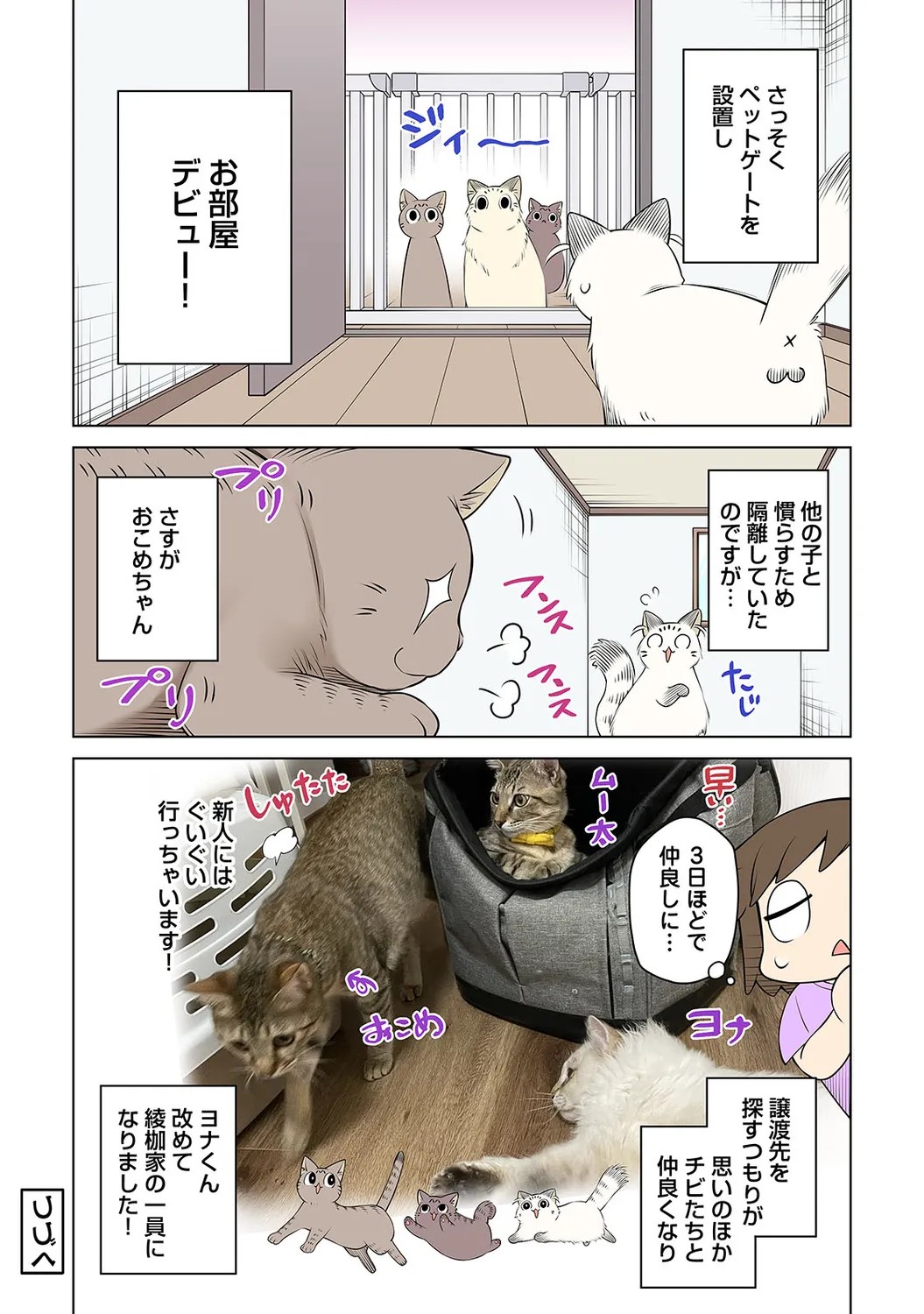 Page 226