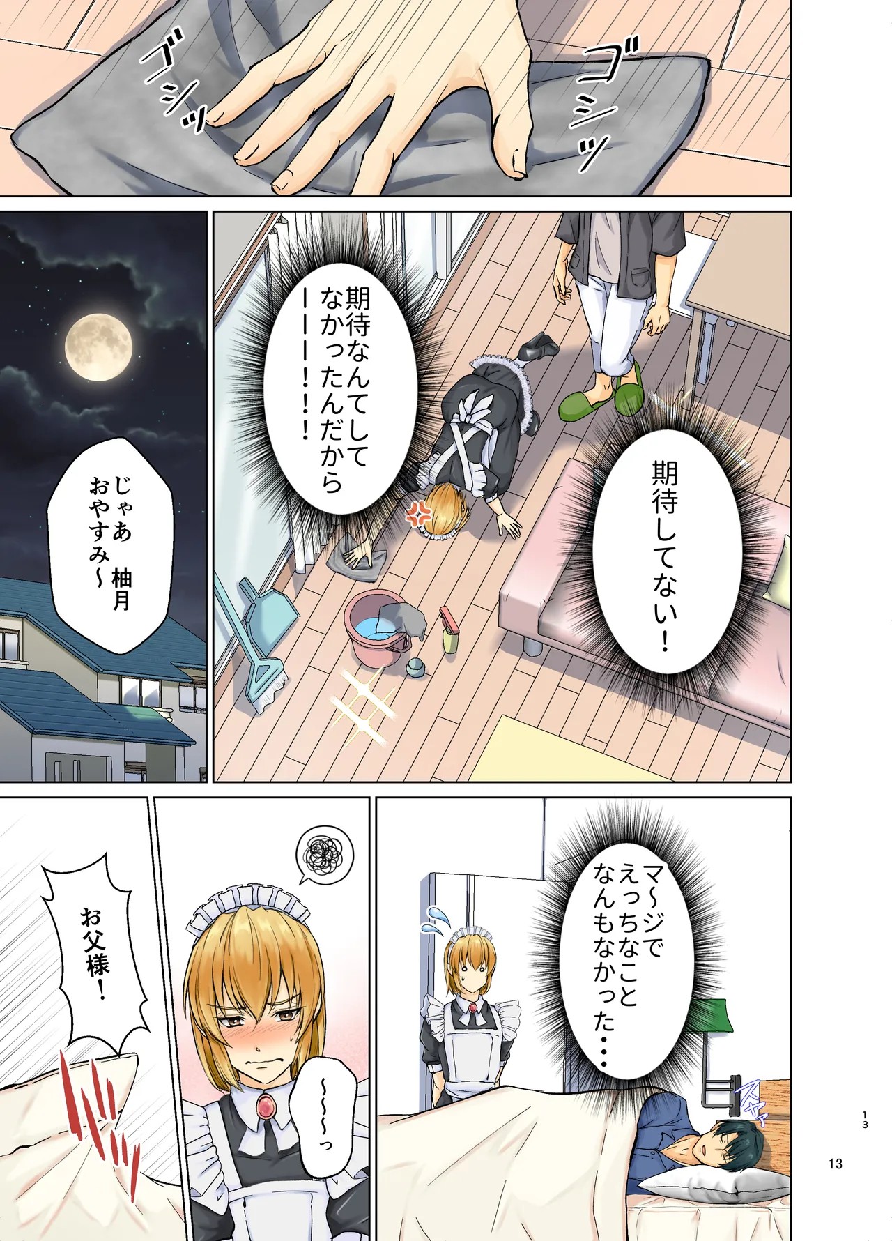 Page 13