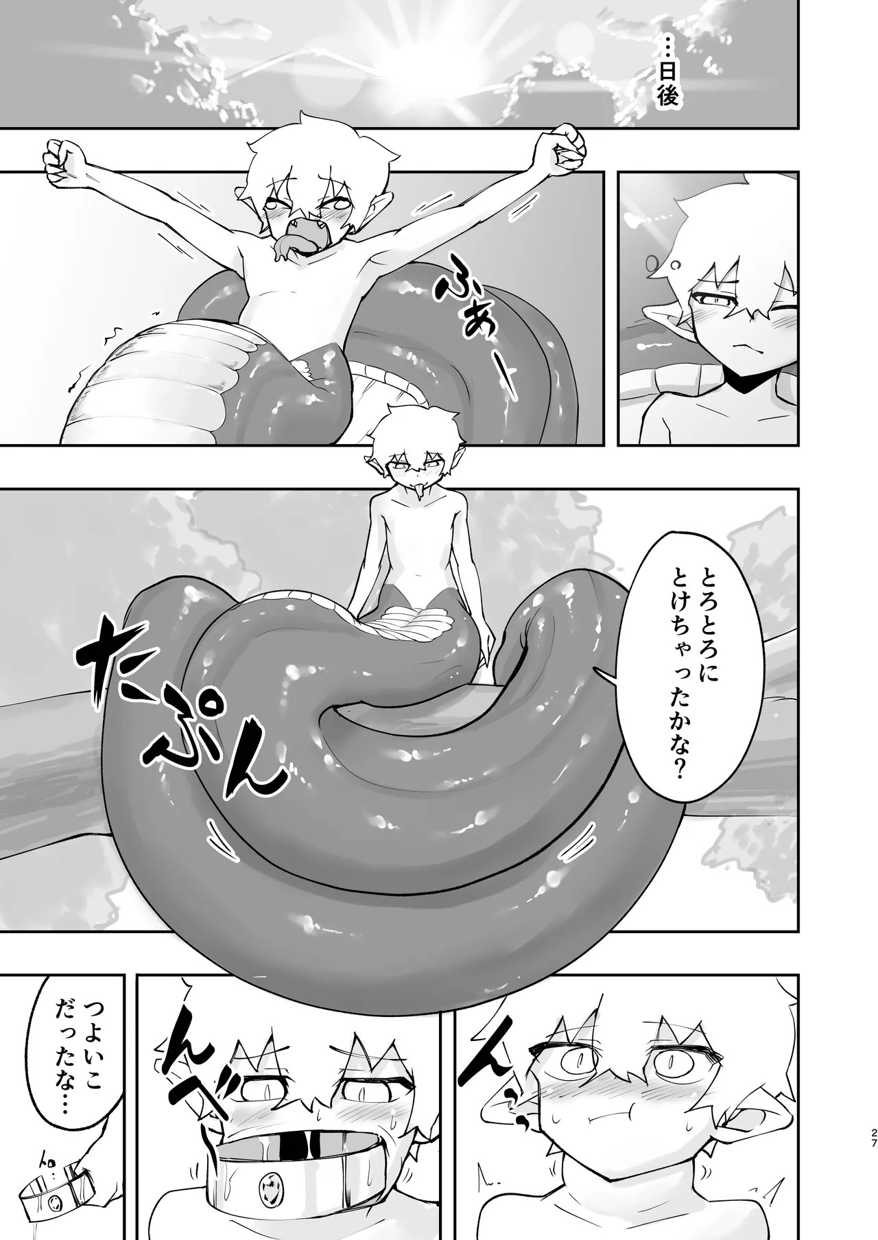 Page 27
