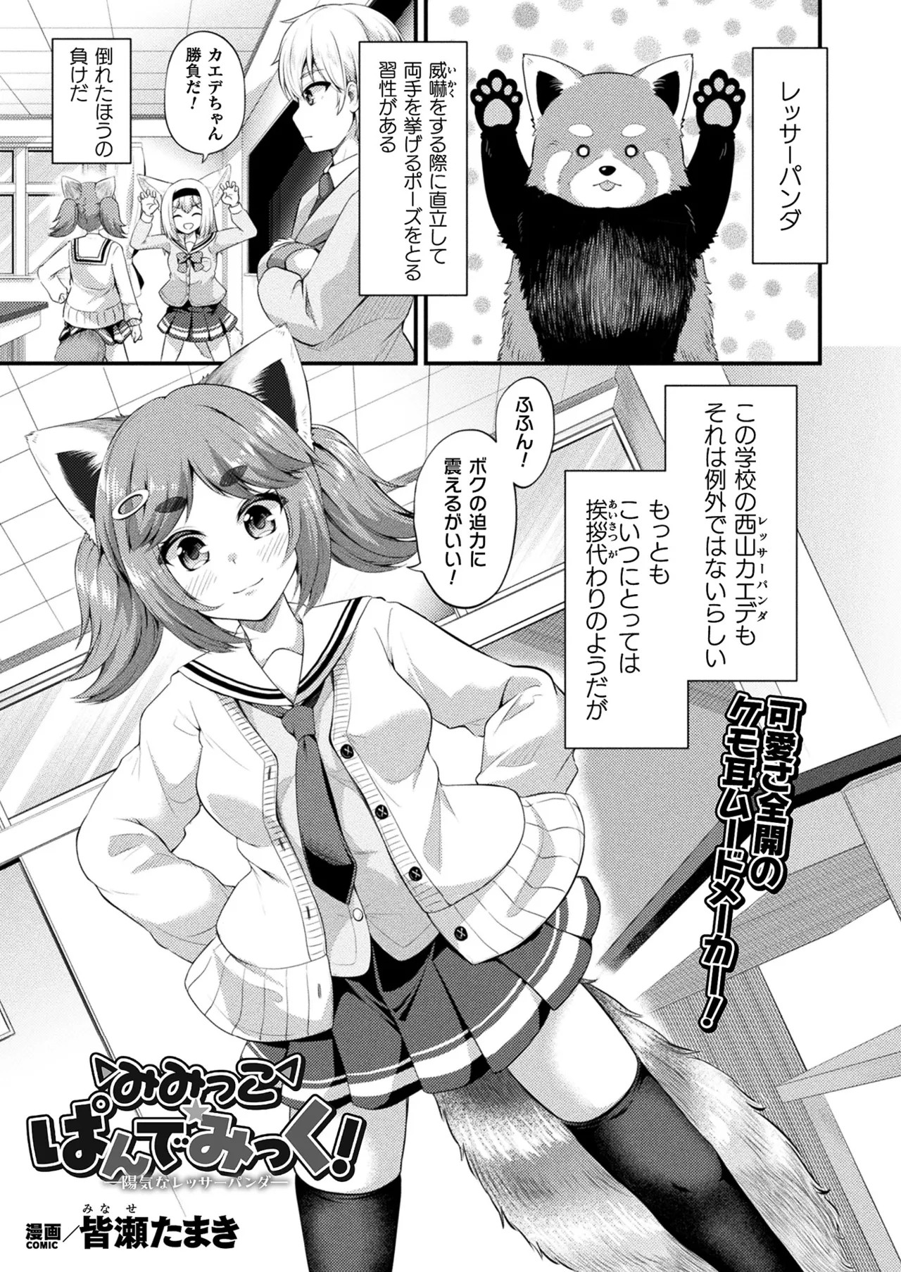 Page 213