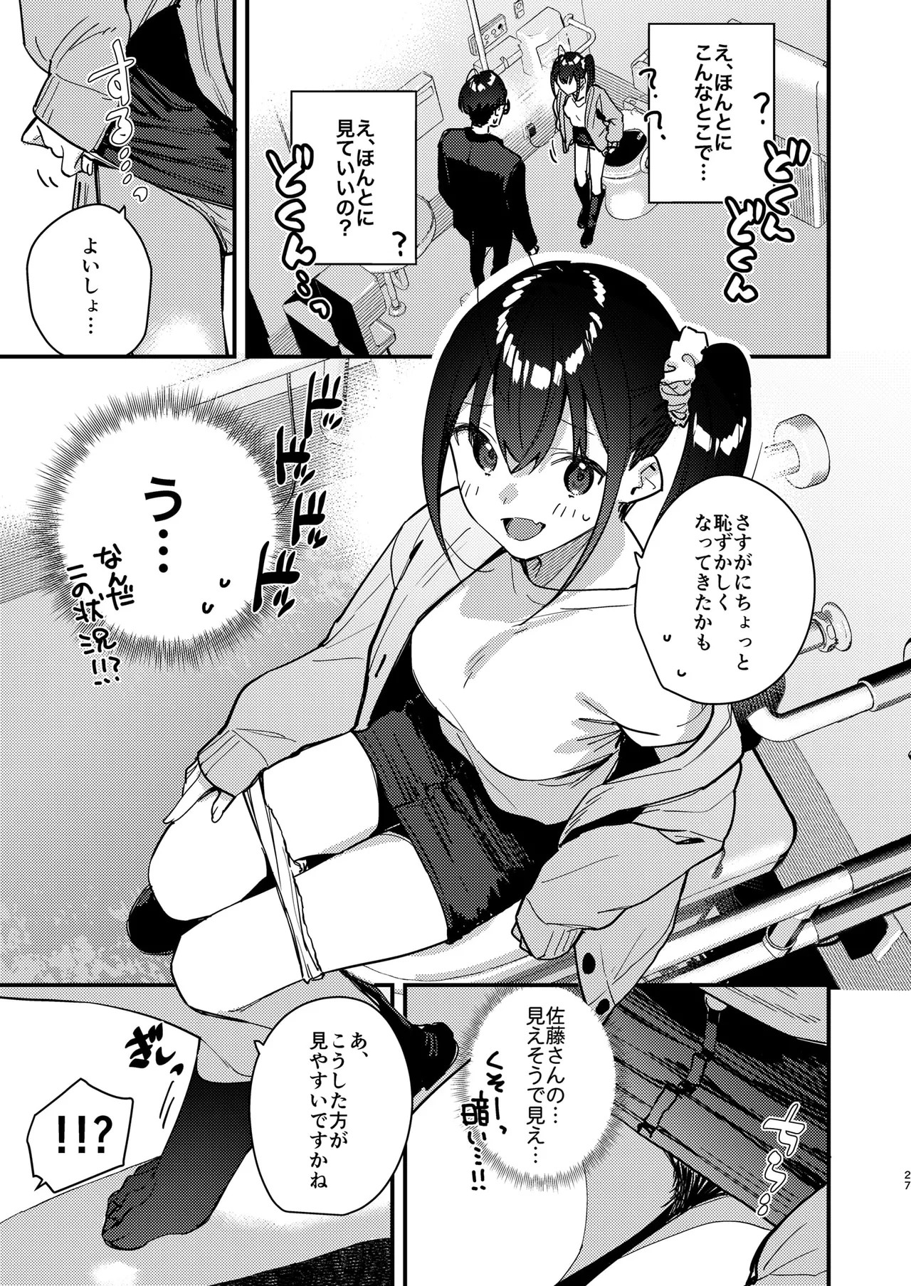 Page 27