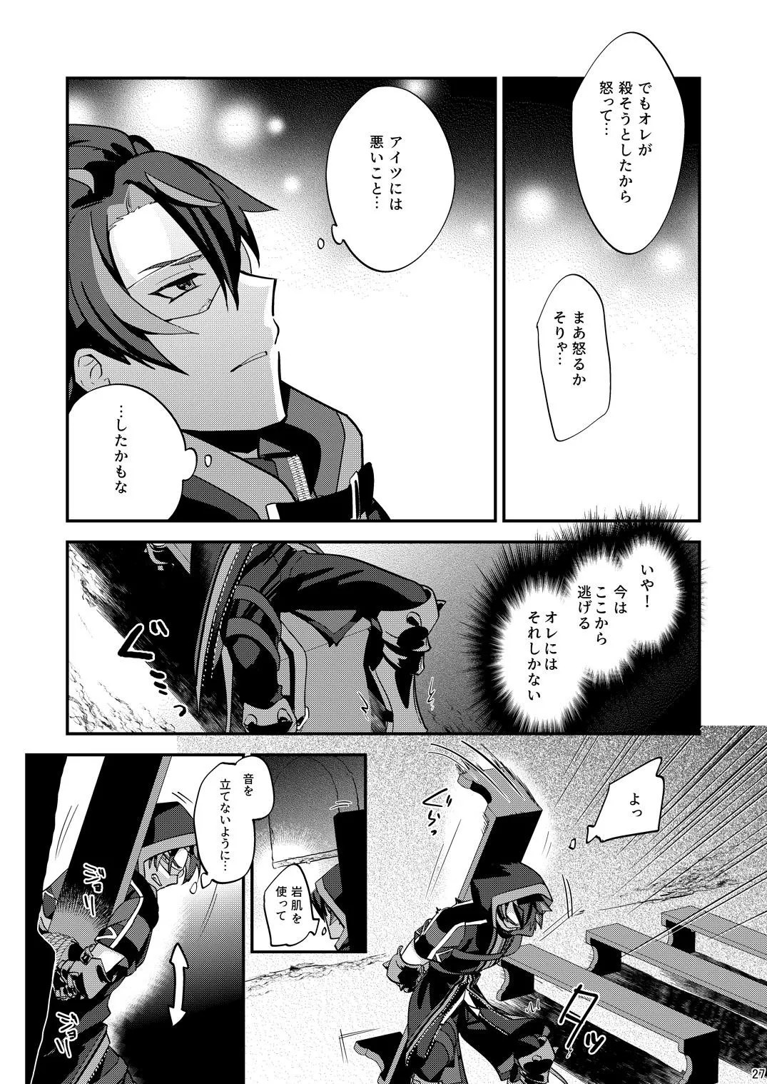 Page 27
