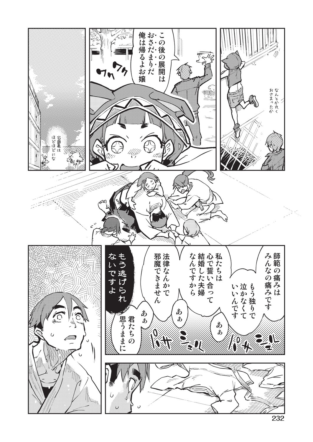 Page 233