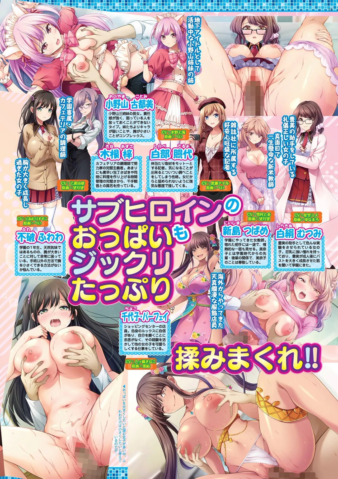Page 17