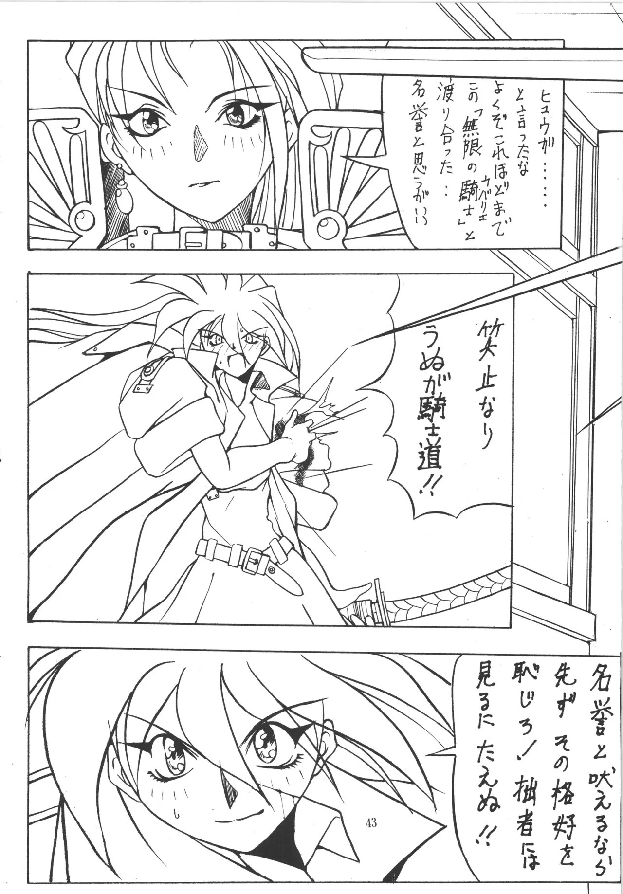 Page 43