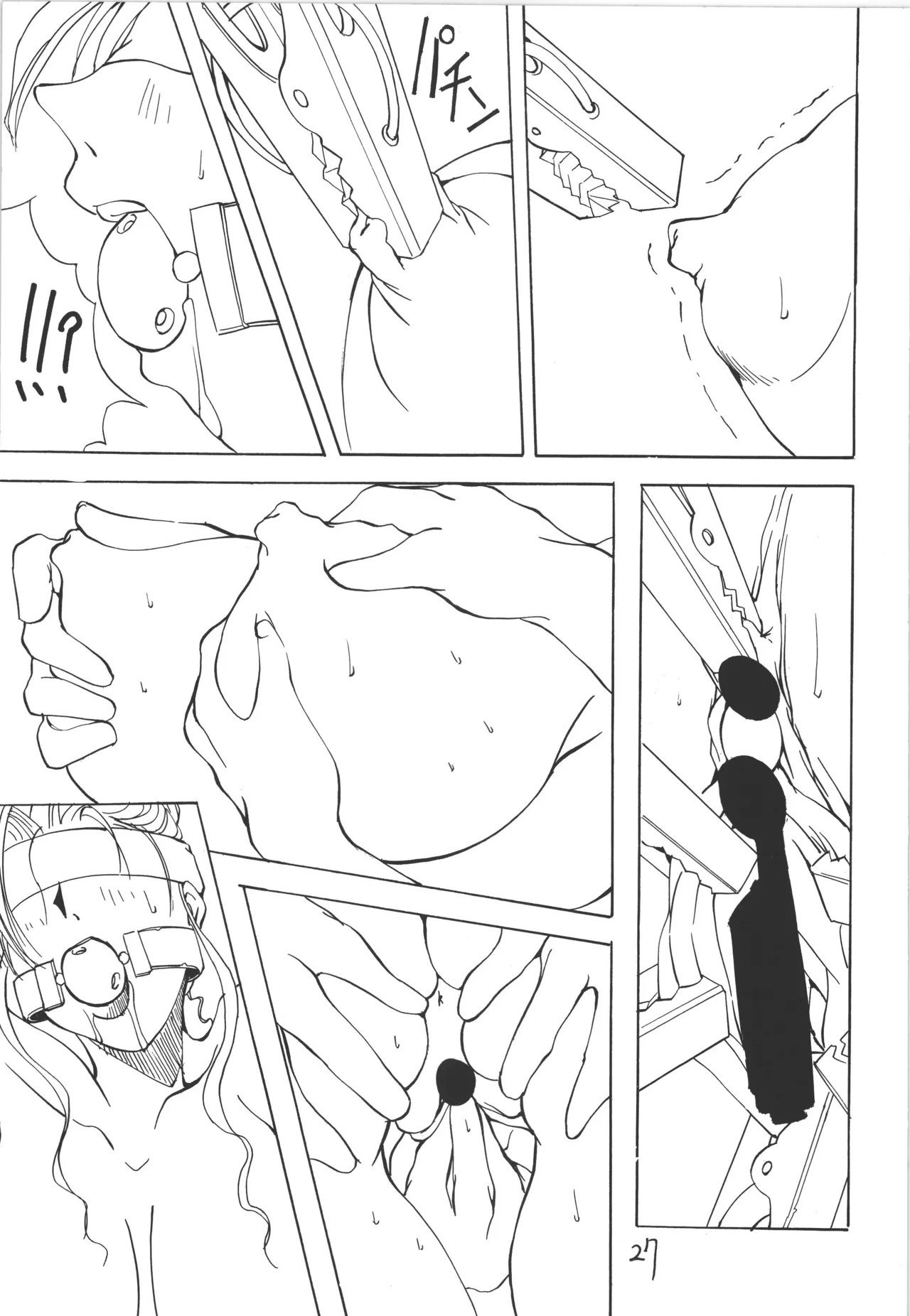 Page 27