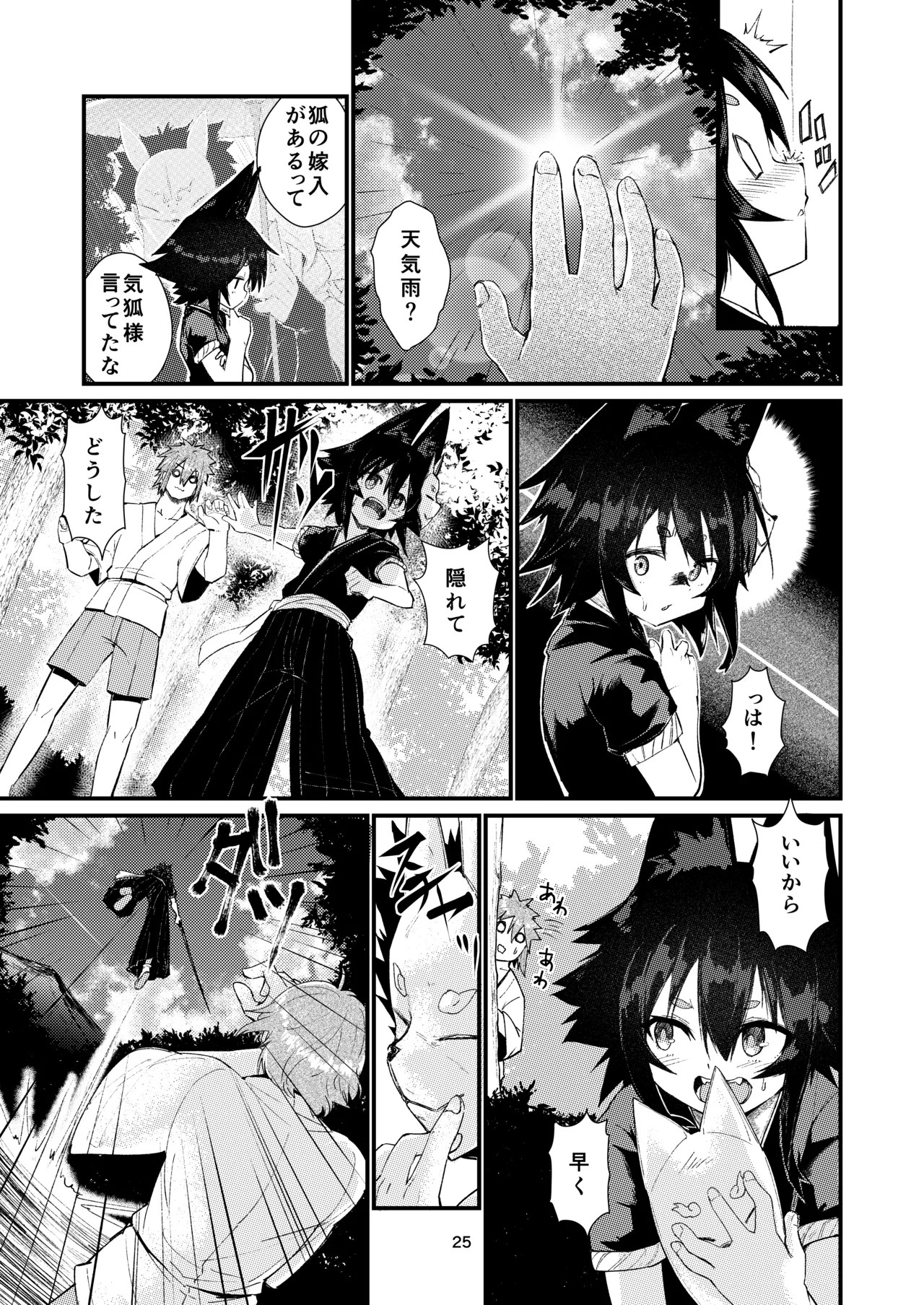 Page 25