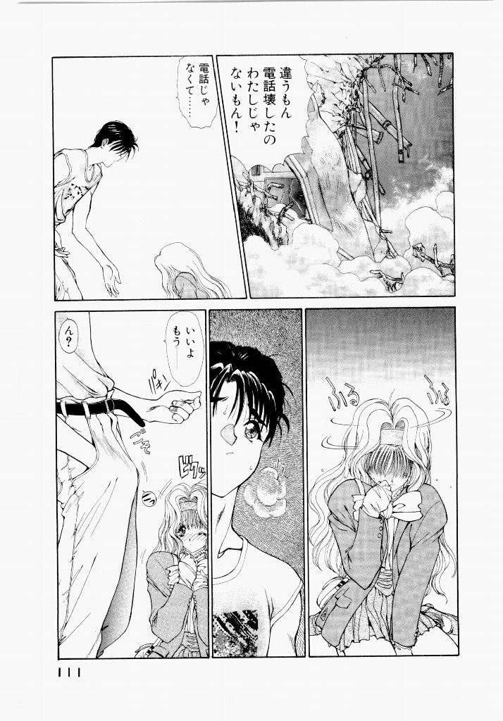 Page 111