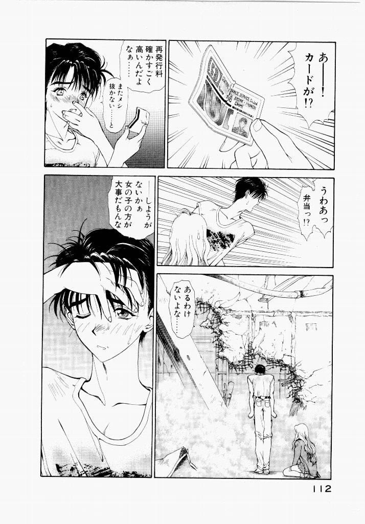 Page 112