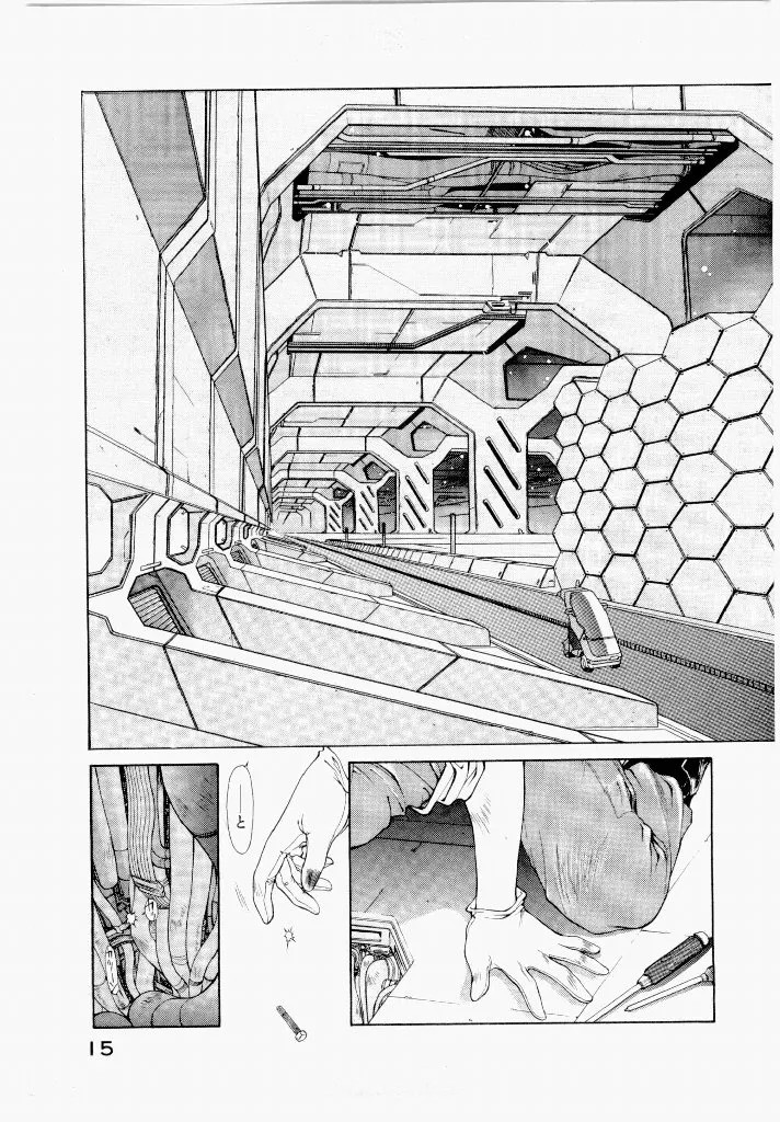 Page 15