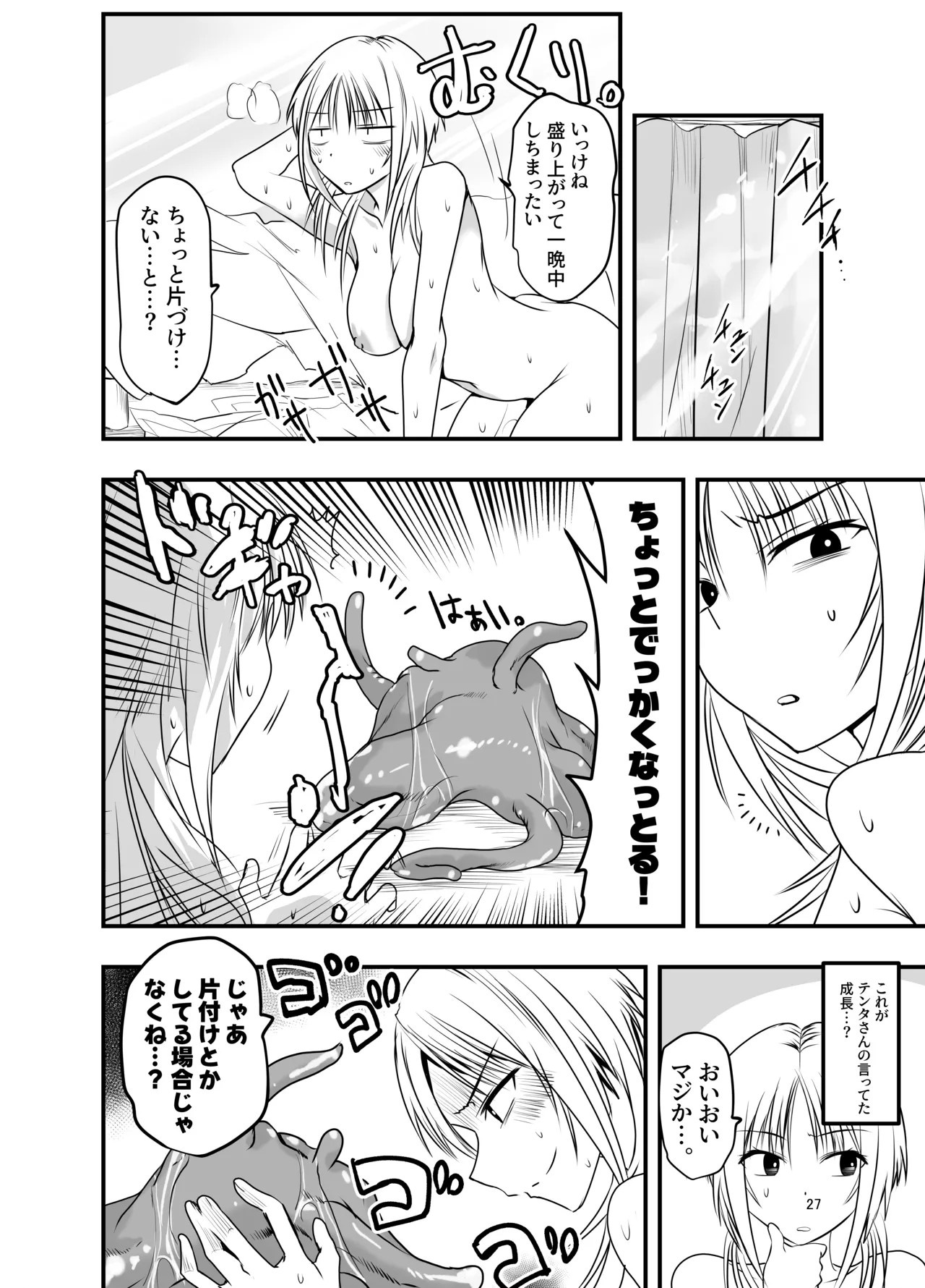 Page 27