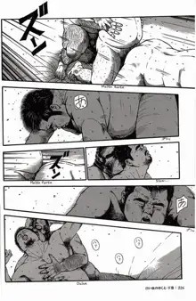 Page 227