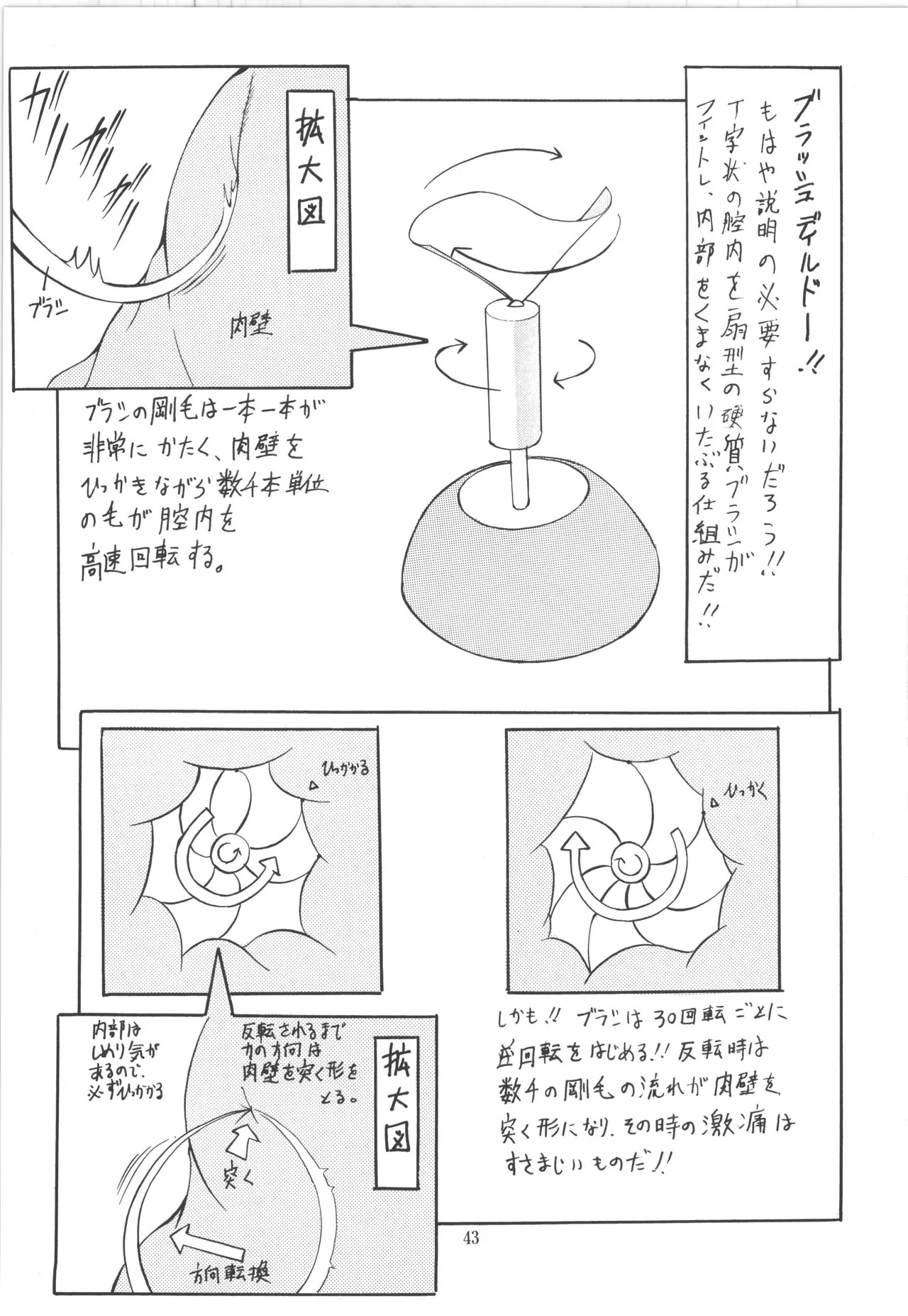 Page 43