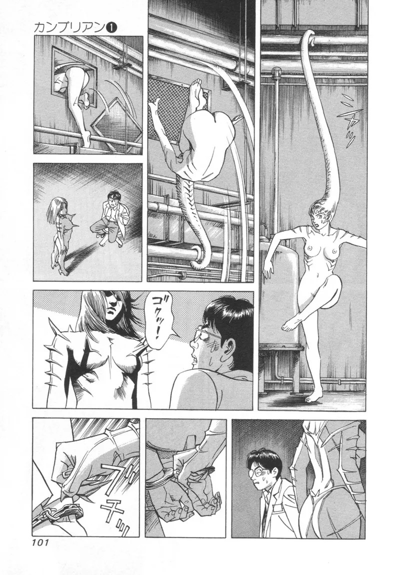 Page 101