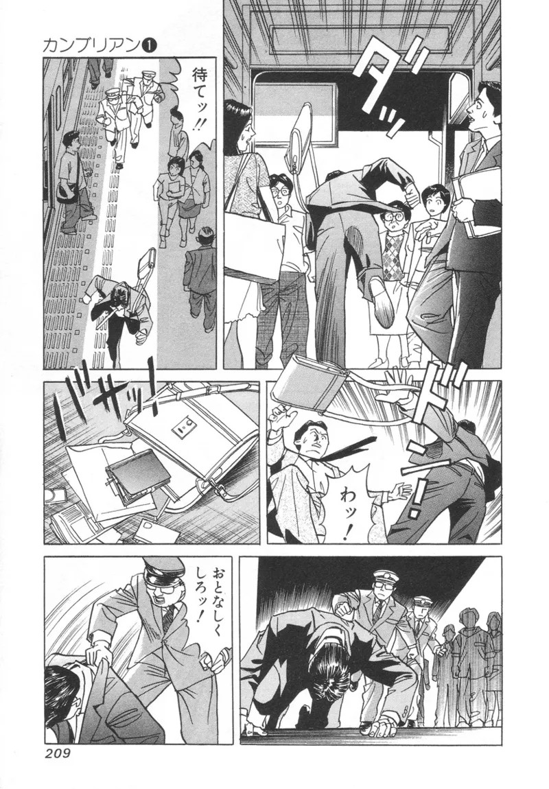Page 207